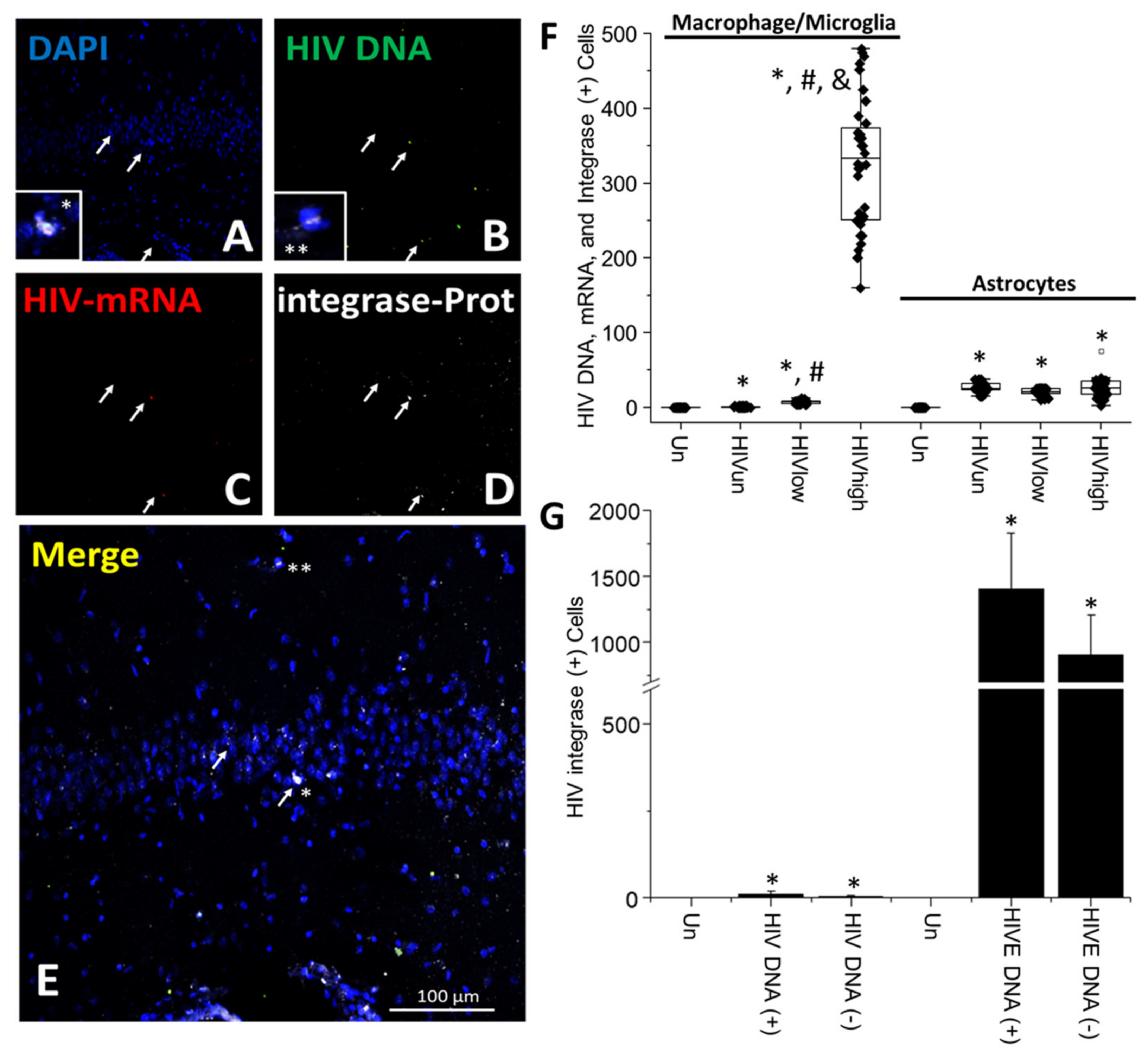 Cells 11 02379 g004 550