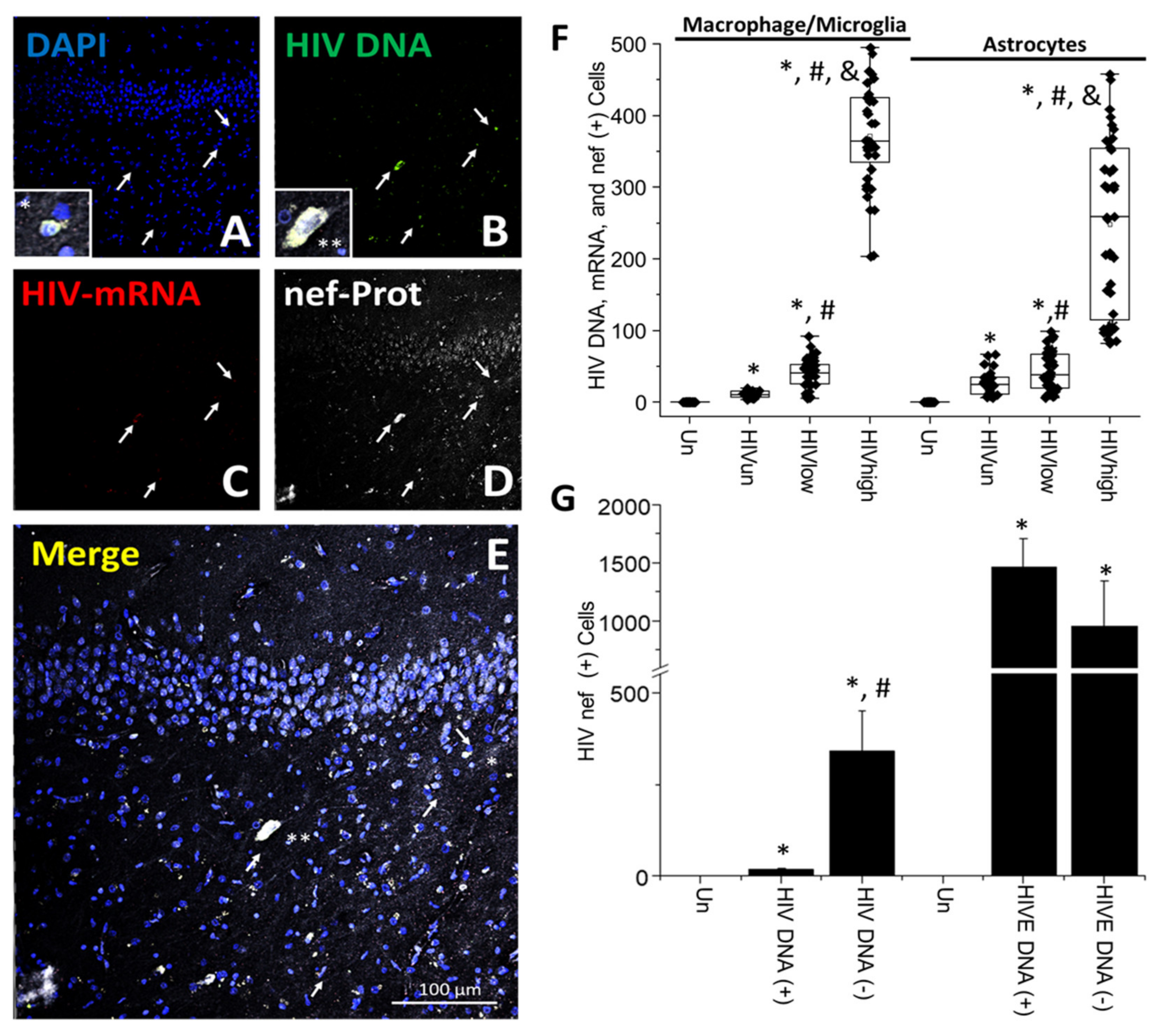 Cells 11 02379 g005 550