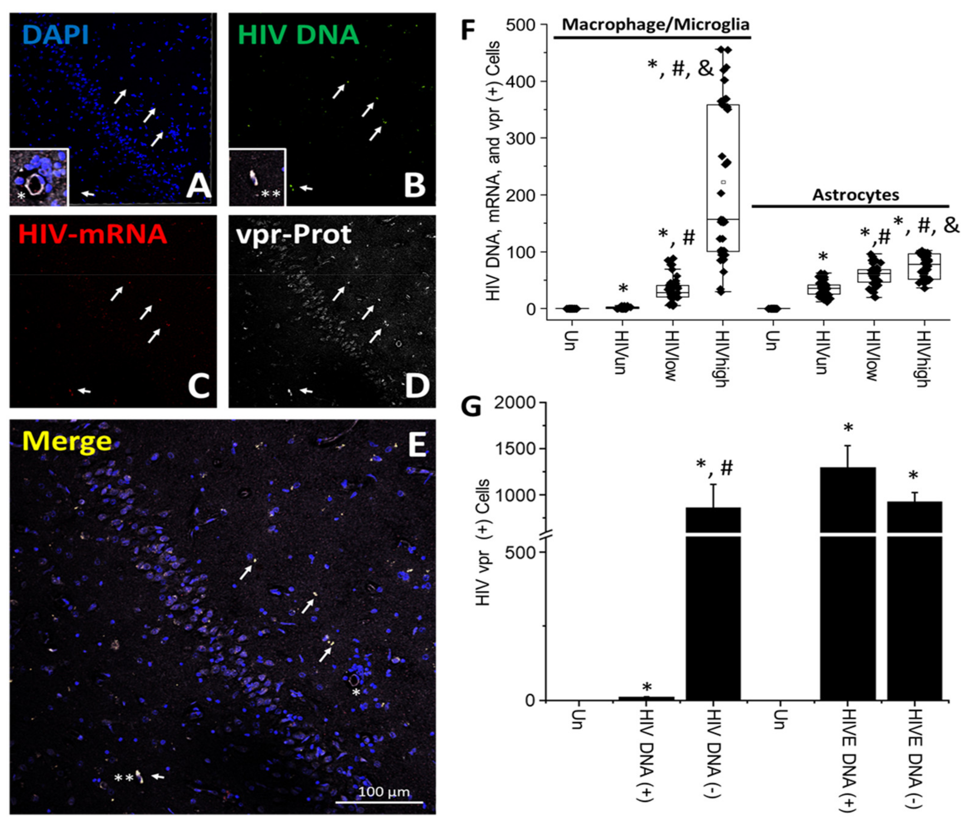 Cells 11 02379 g006 550