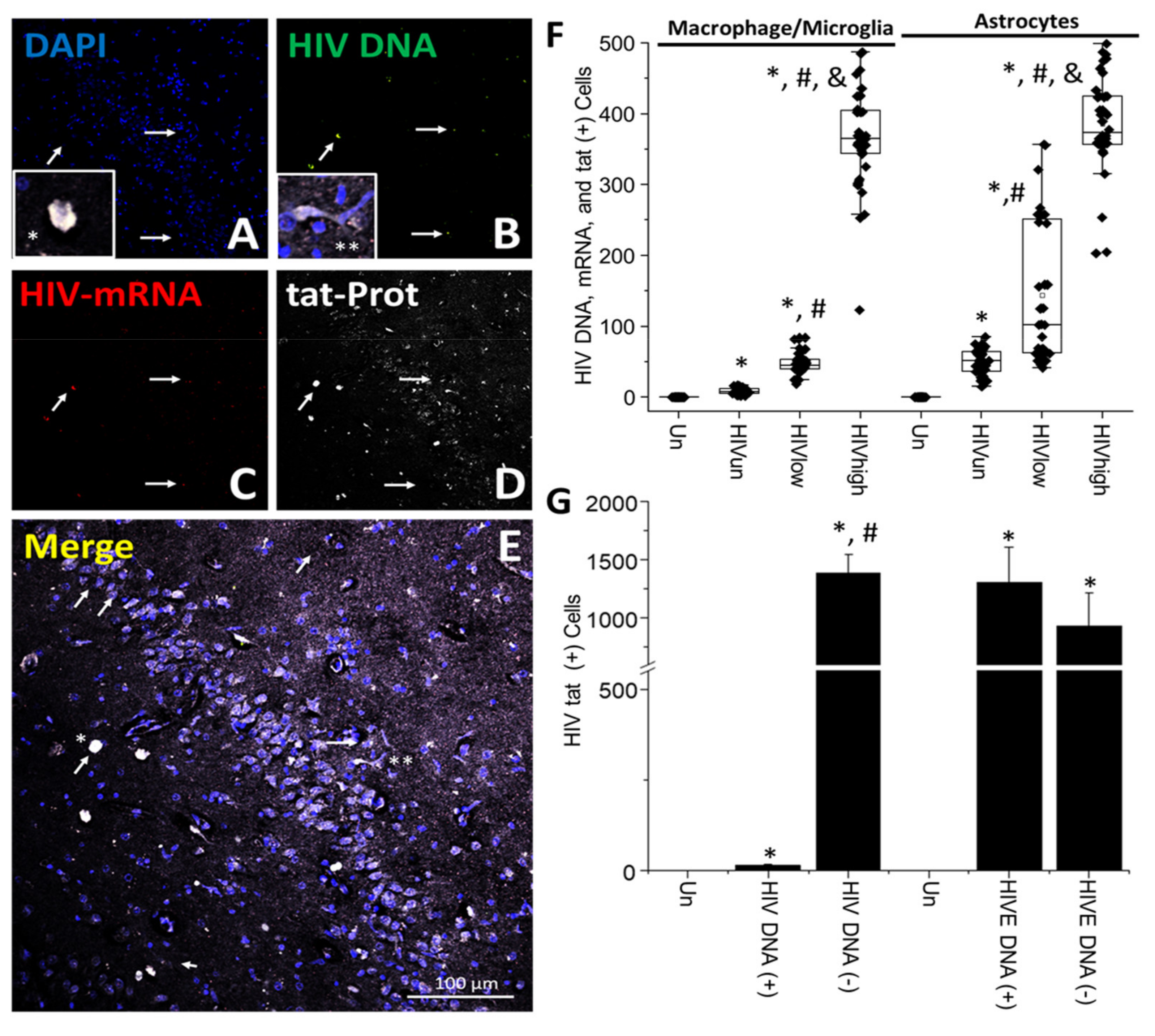 Cells 11 02379 g007 550