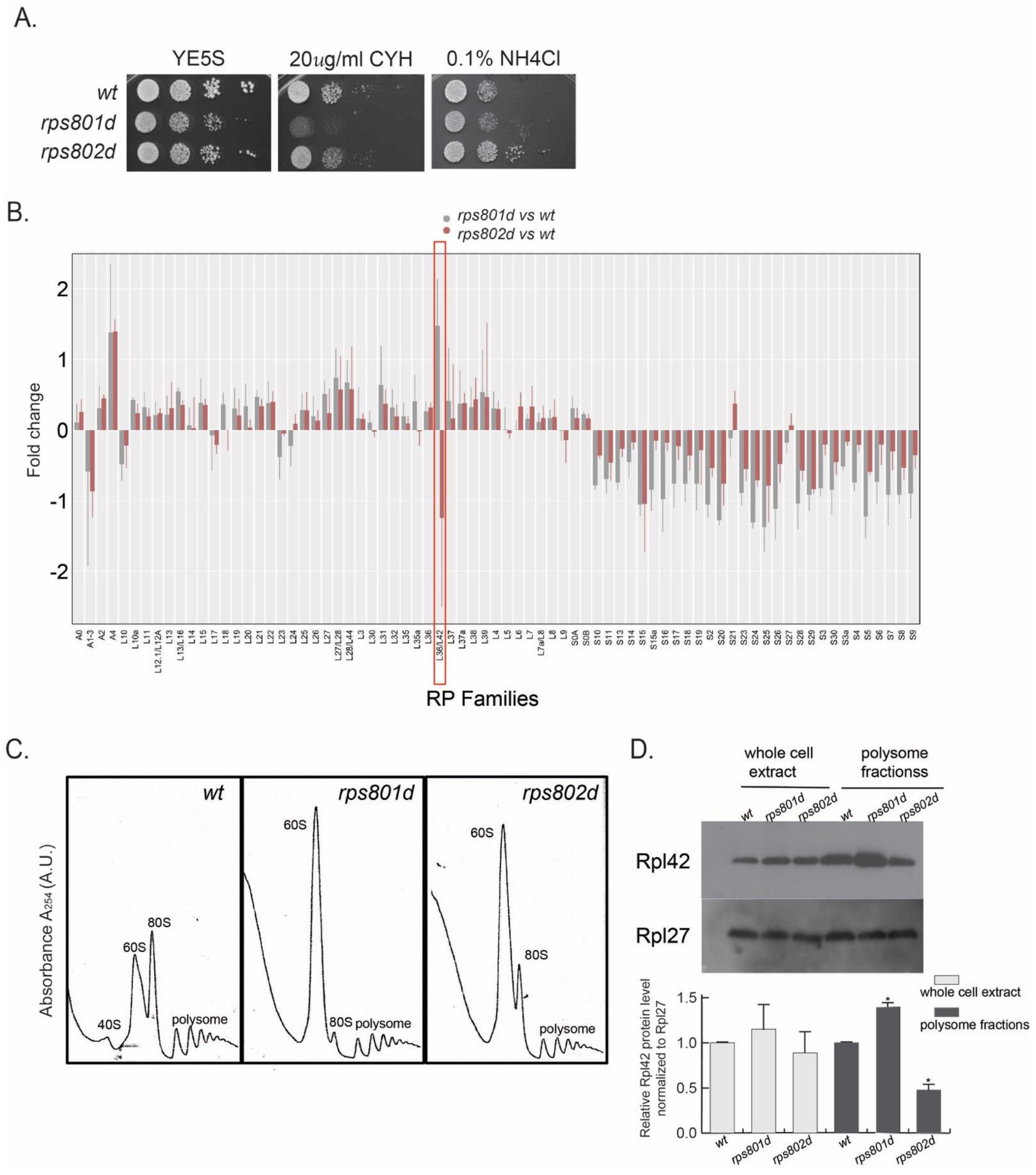 Cells 11 02381 g001 550