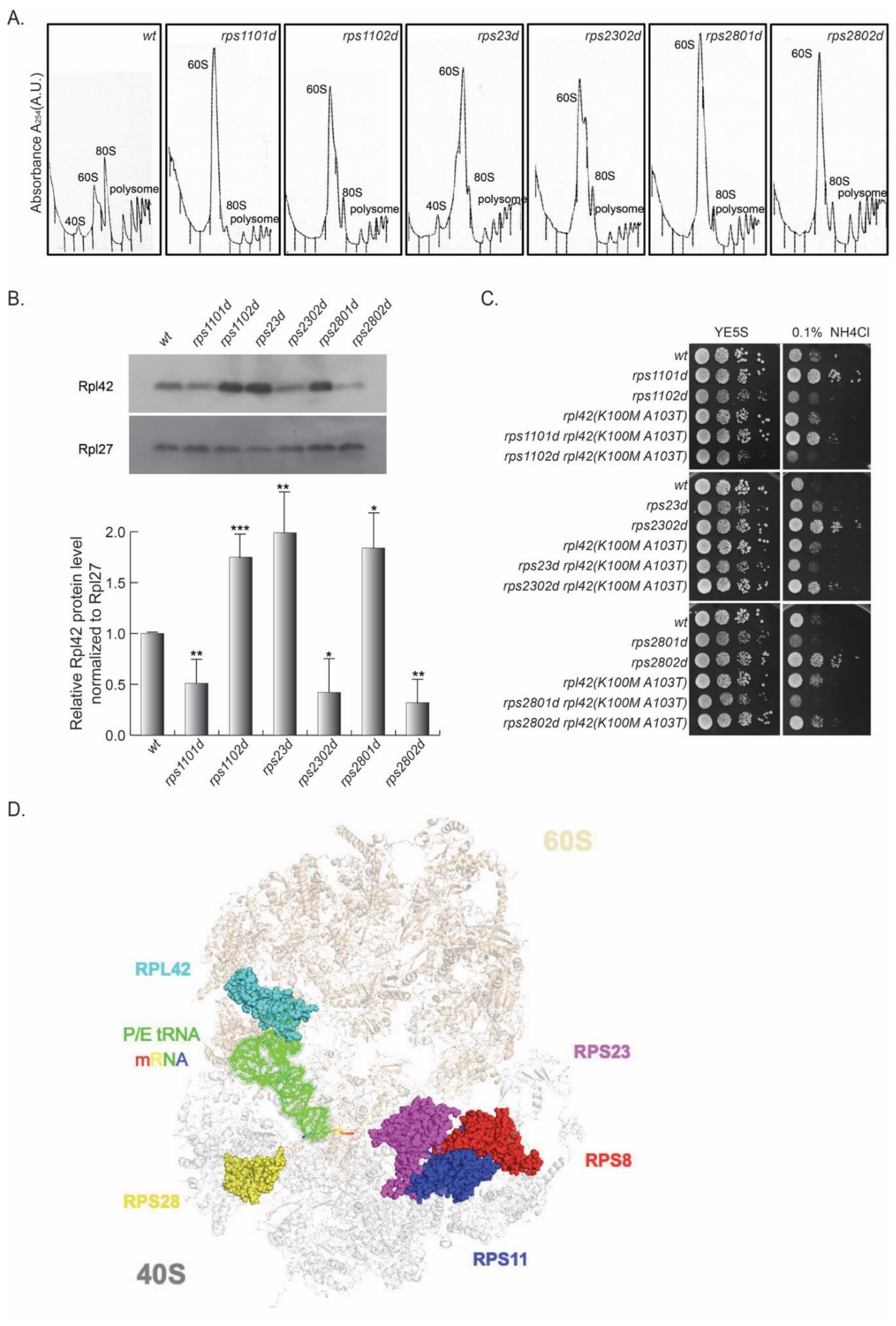 Cells 11 02381 g004 550