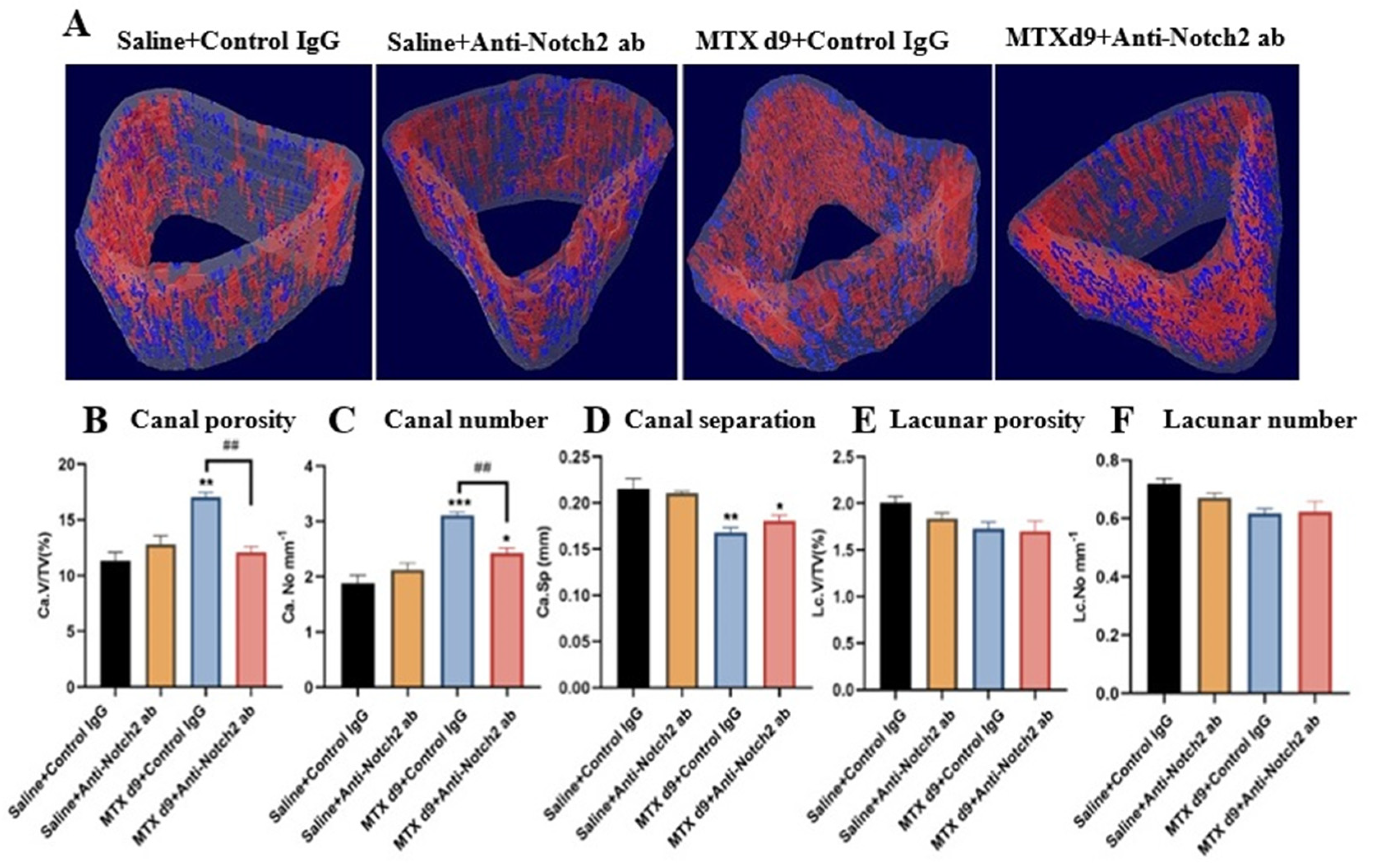 Cells 11 02382 g003 550