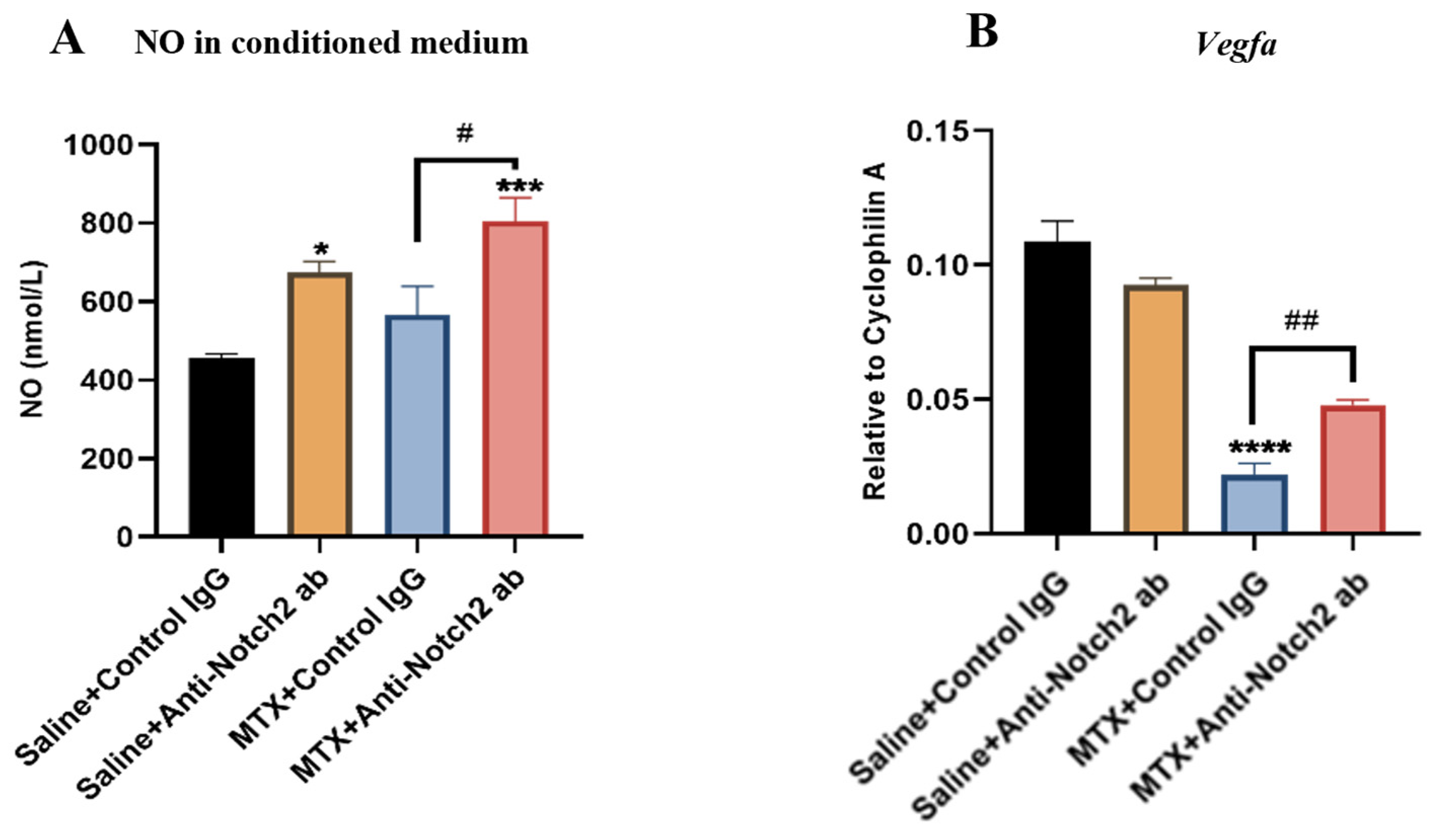 Cells 11 02382 g008 550