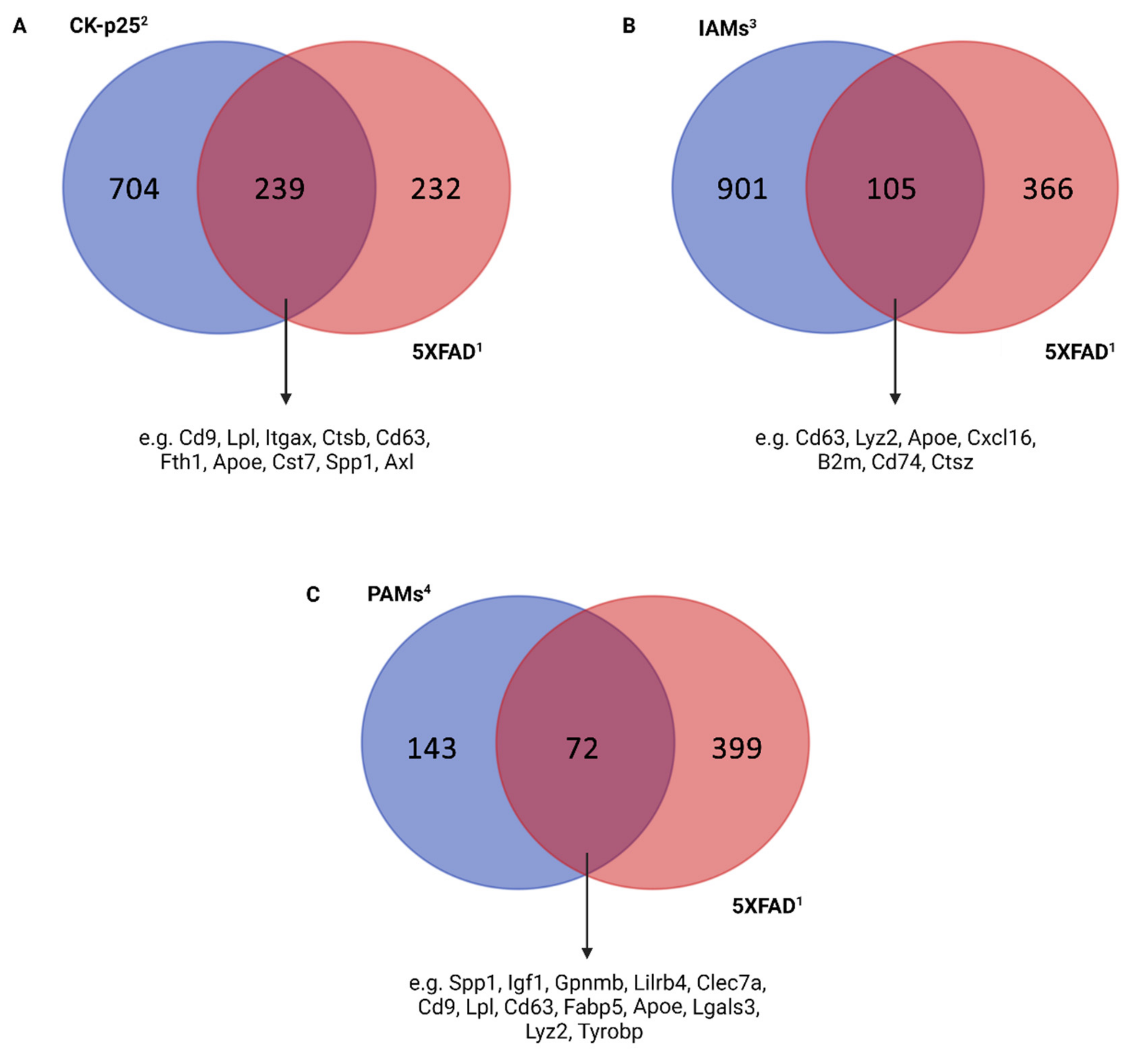 Cells 11 02383 g003 550