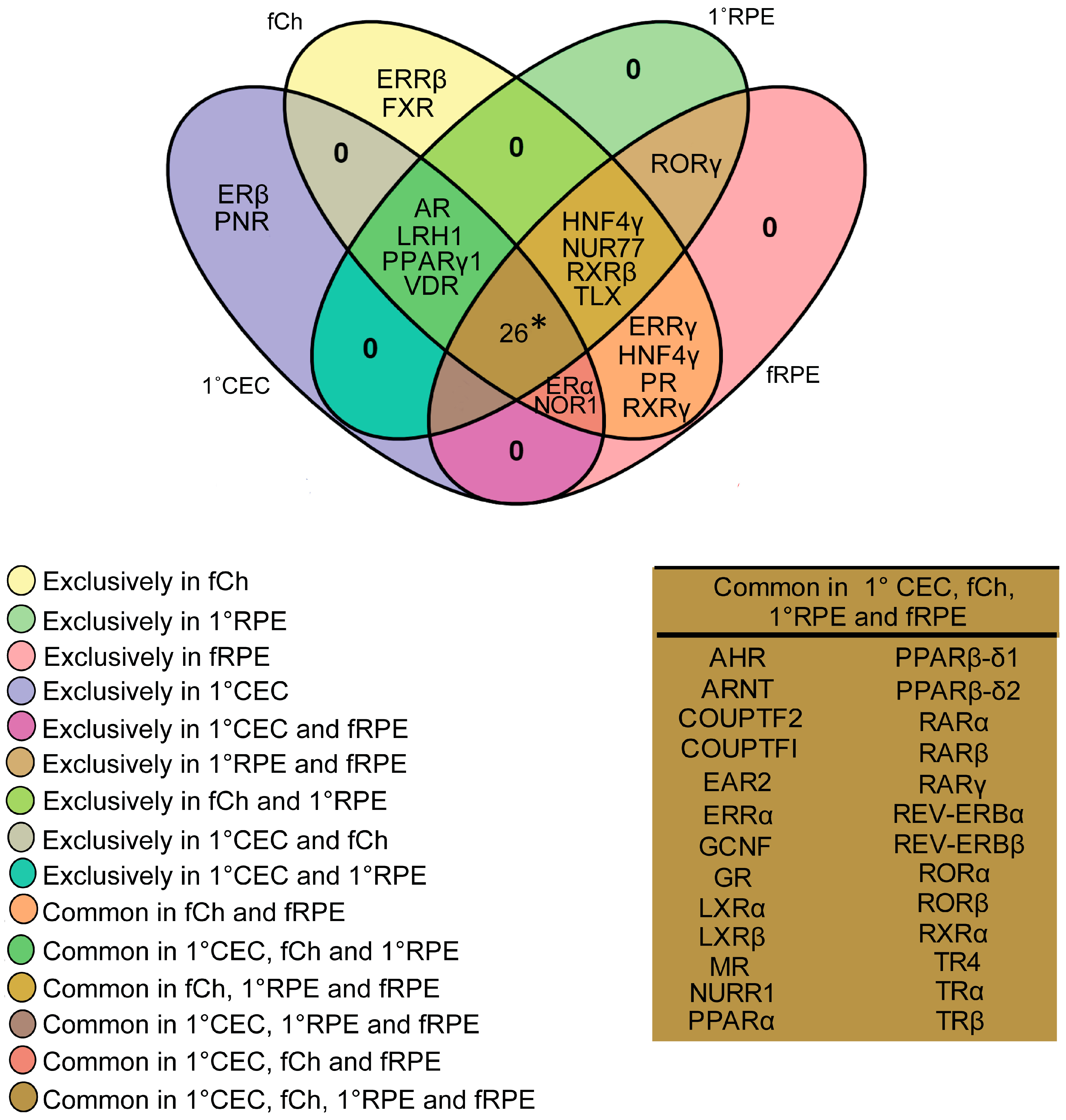 Cells 11 02386 g004 Cells 11 02386 g004