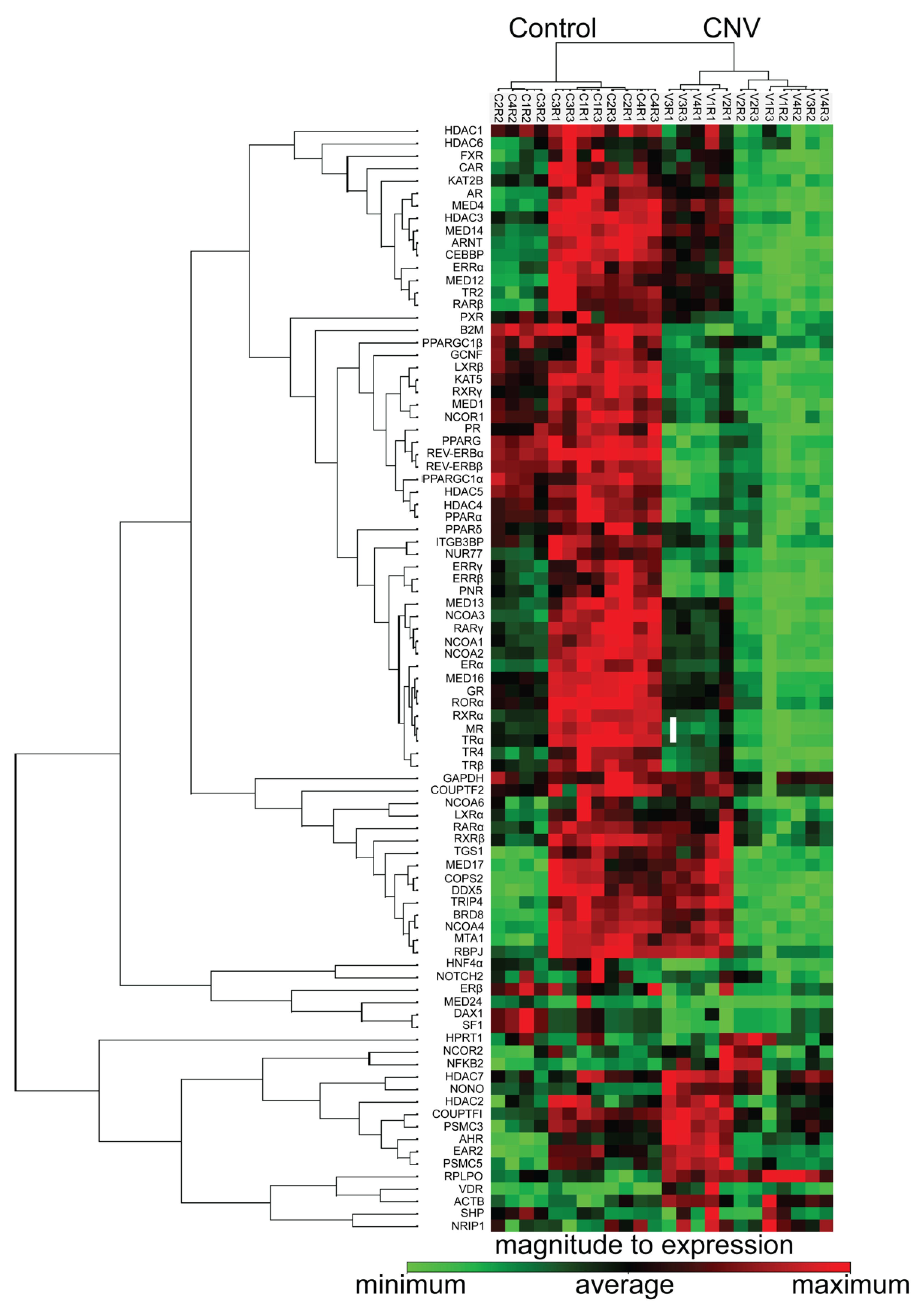 Cells 11 02386 g006 Cells 11 02386 g006