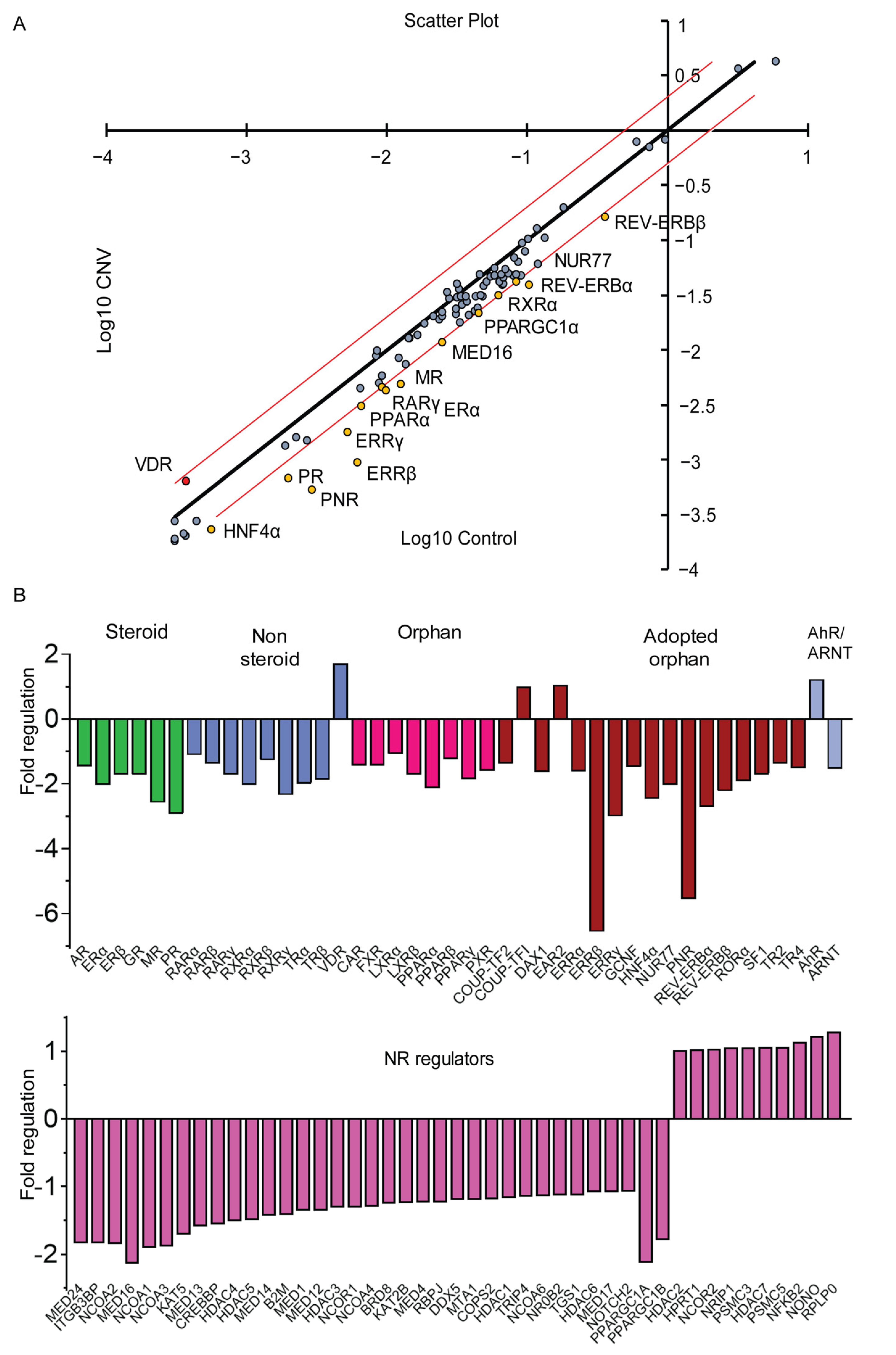 Cells 11 02386 g007 Cells 11 02386 g007