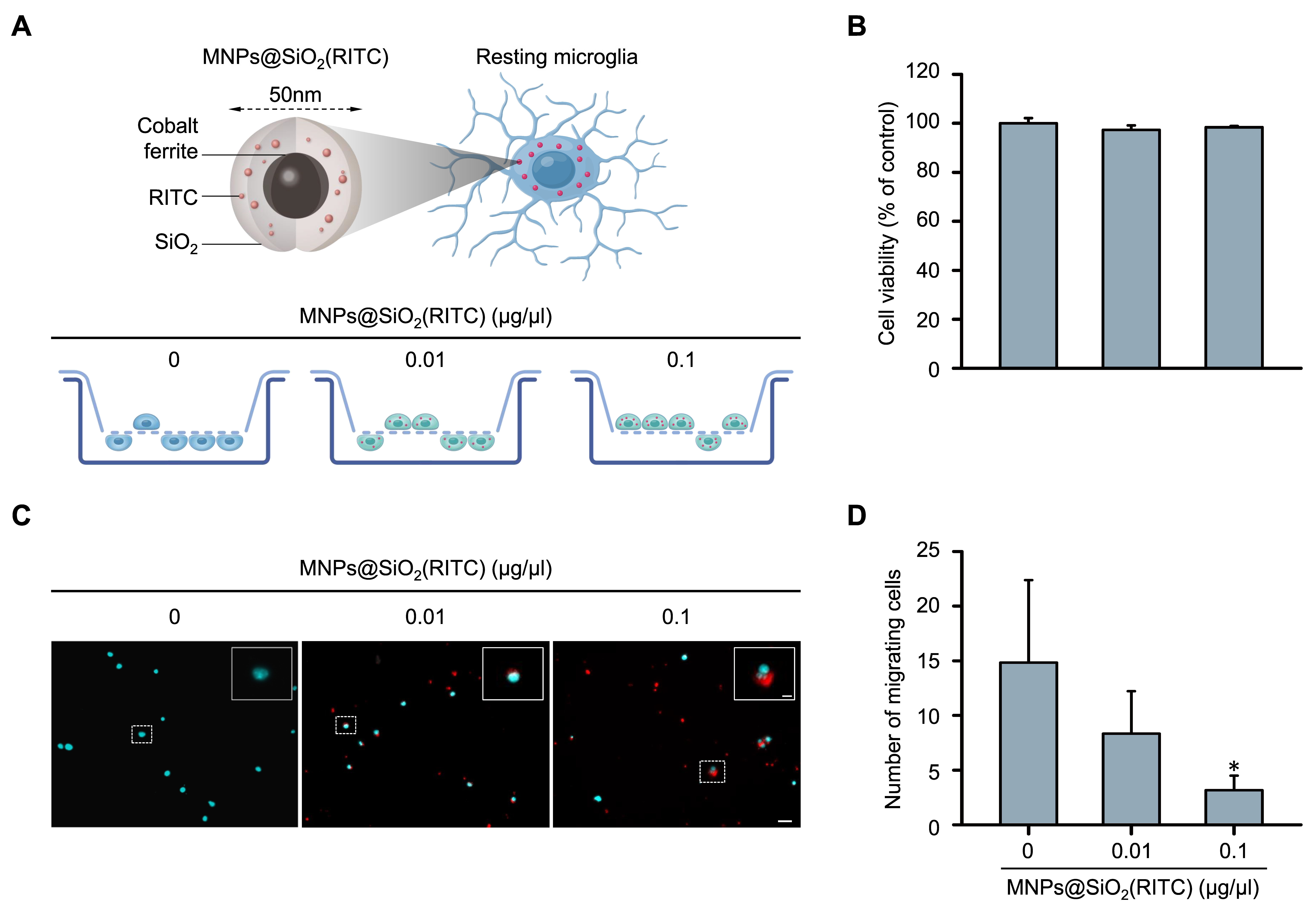 Cells 11 02393 g001 550