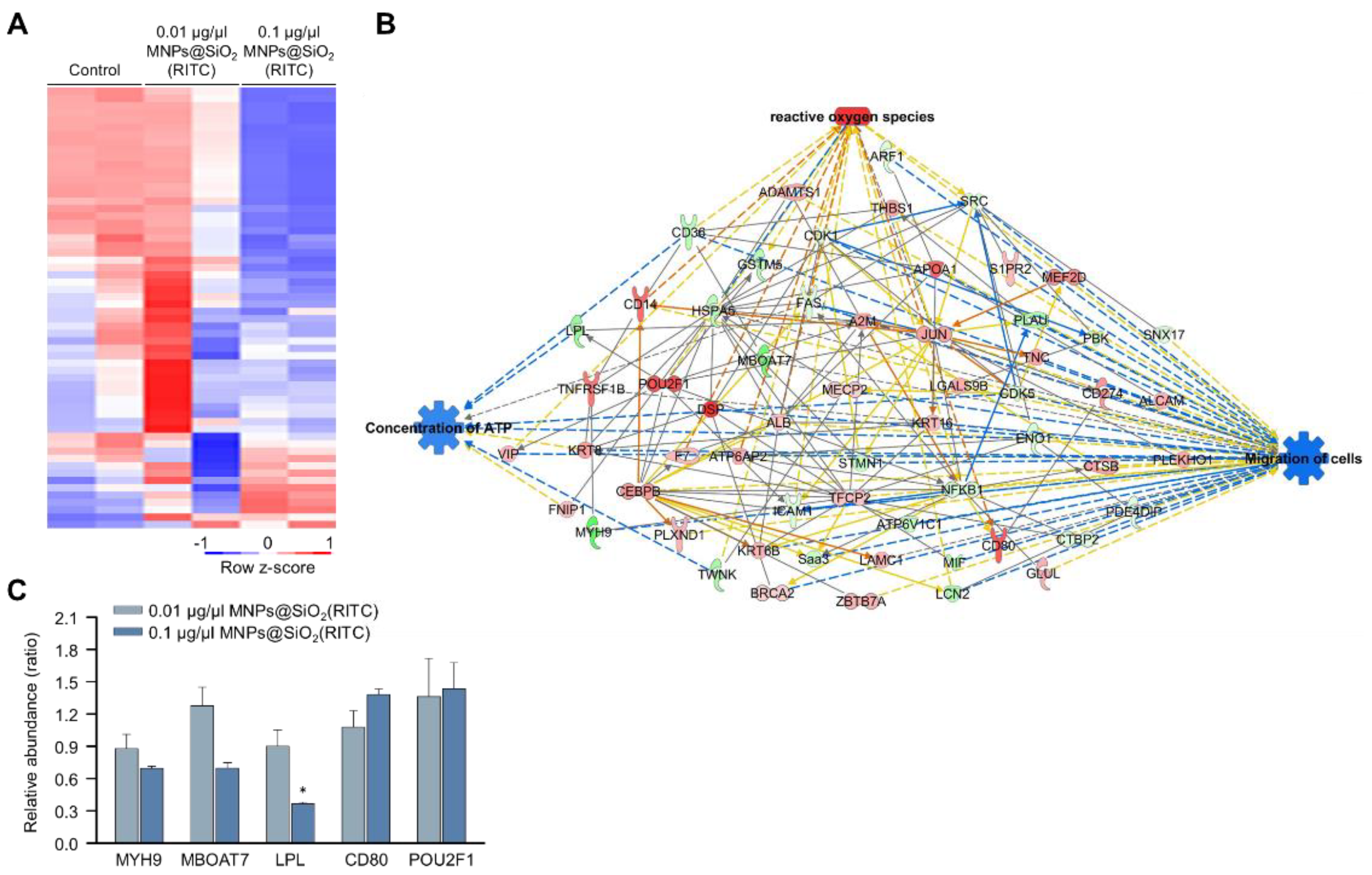 Cells 11 02393 g003 550