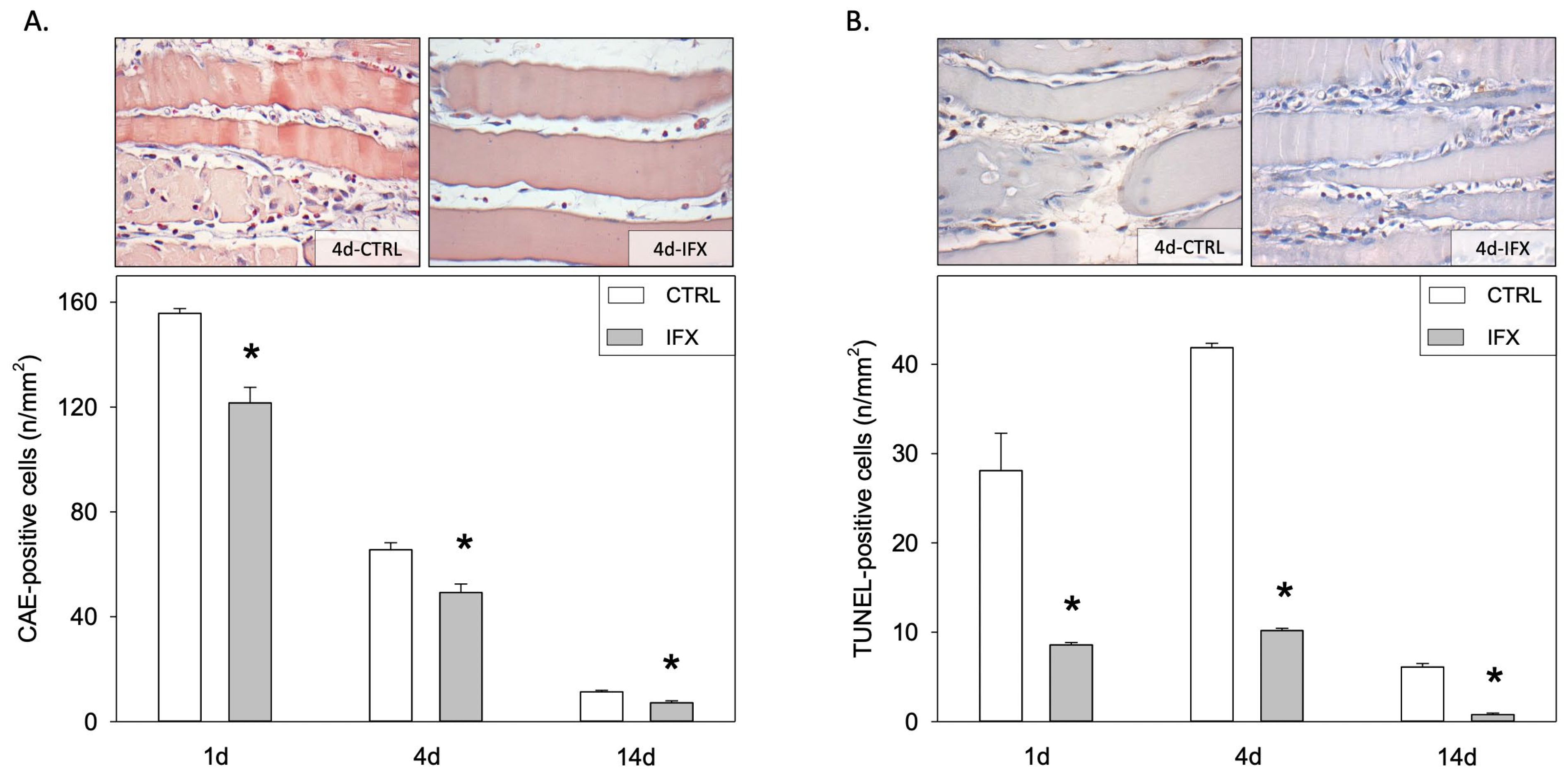 Cells 11 02397 g002 550