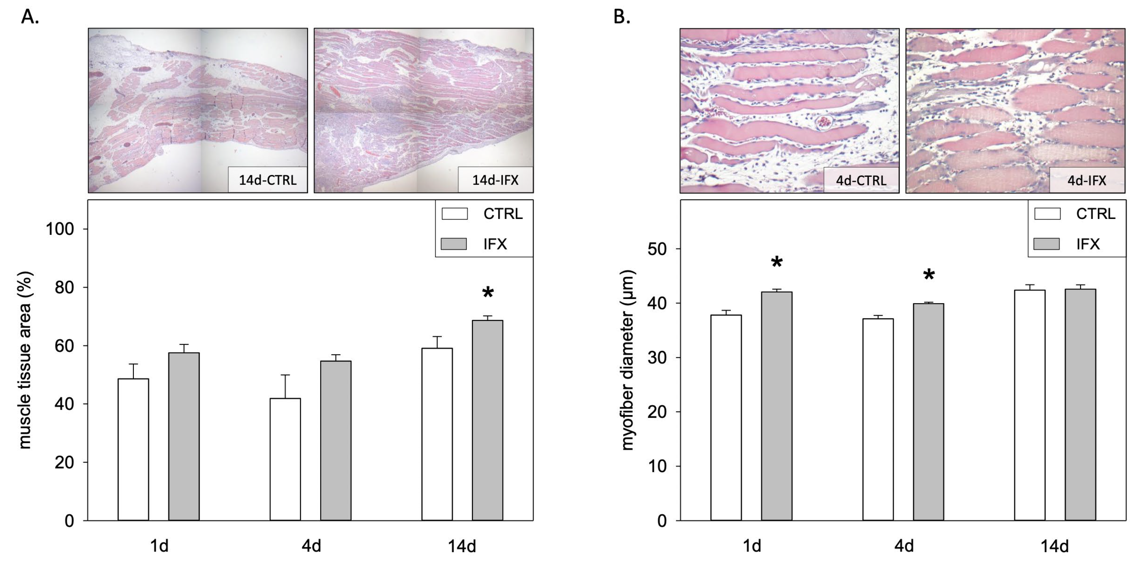 Cells 11 02397 g003 550