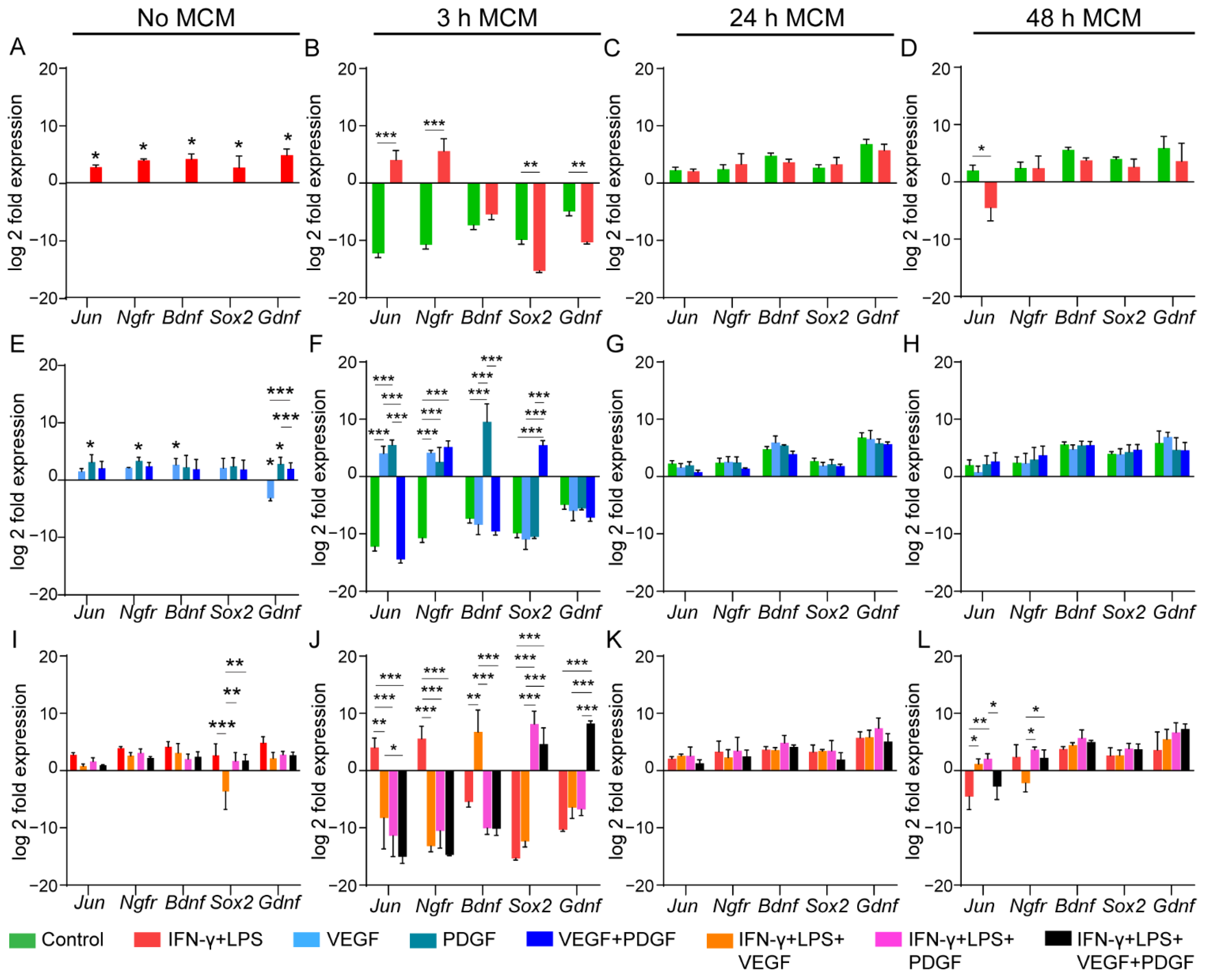 Cells 11 02408 g004 550