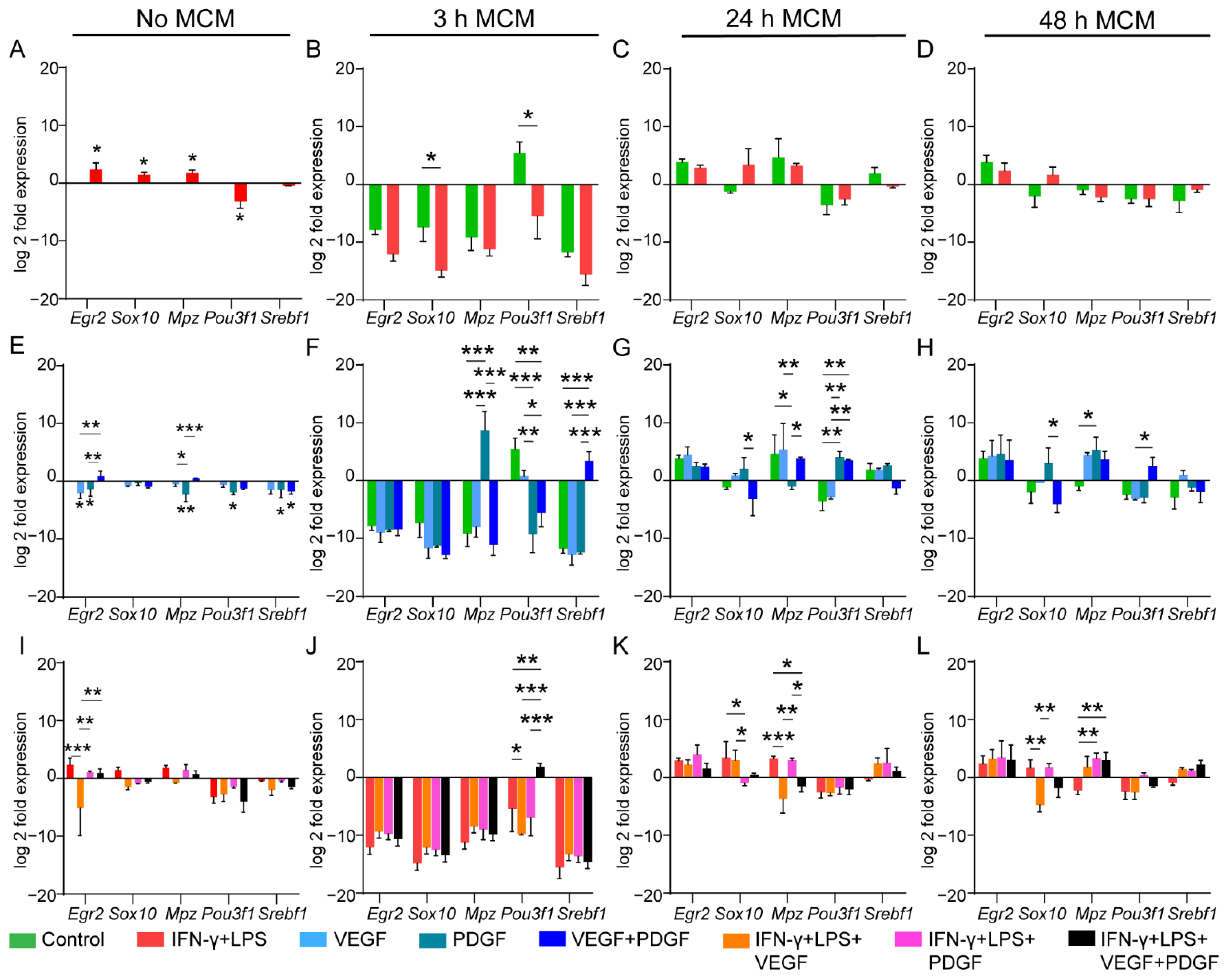 Cells 11 02408 g005 550