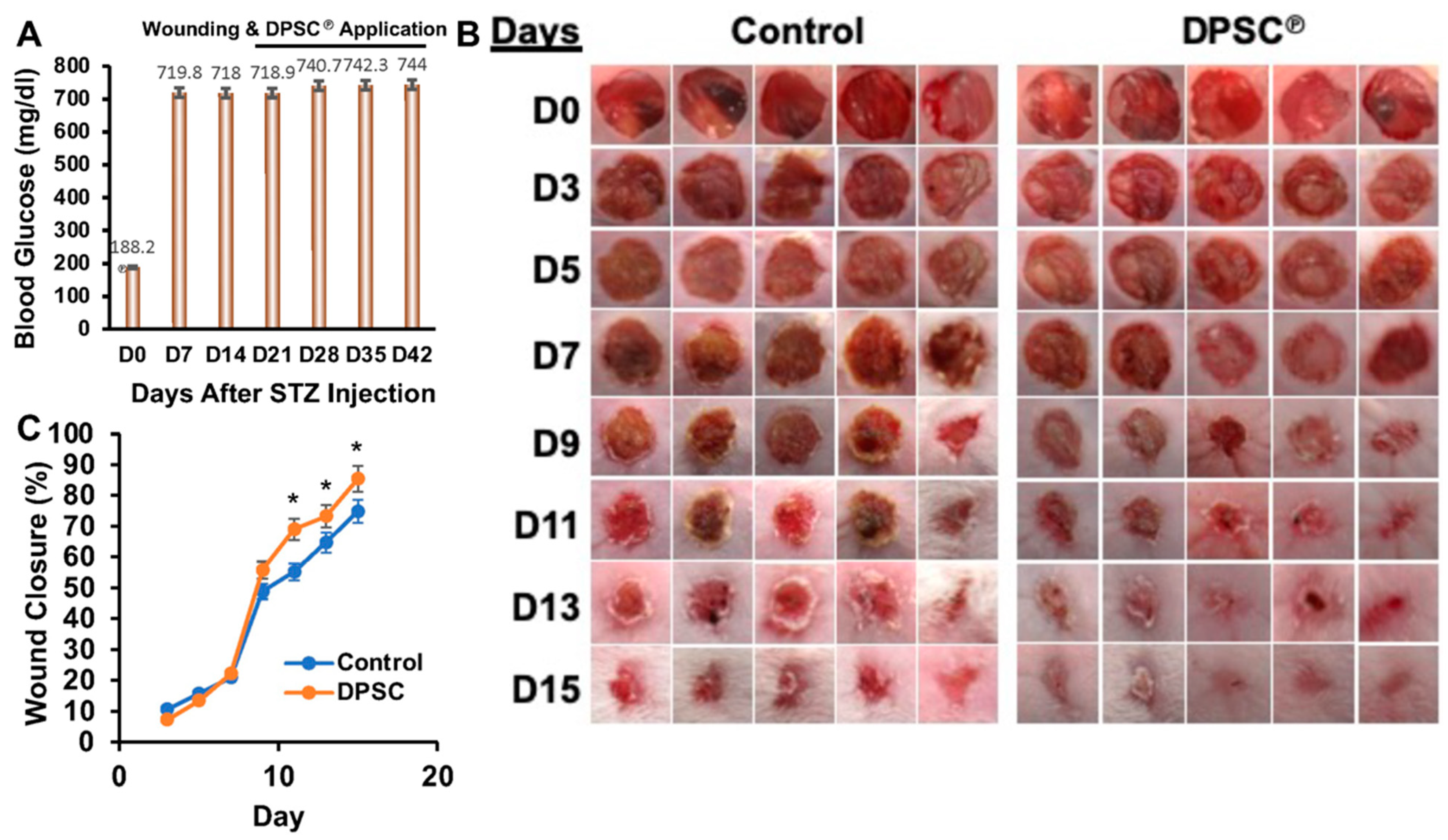 Cells 11 02409 g001 550