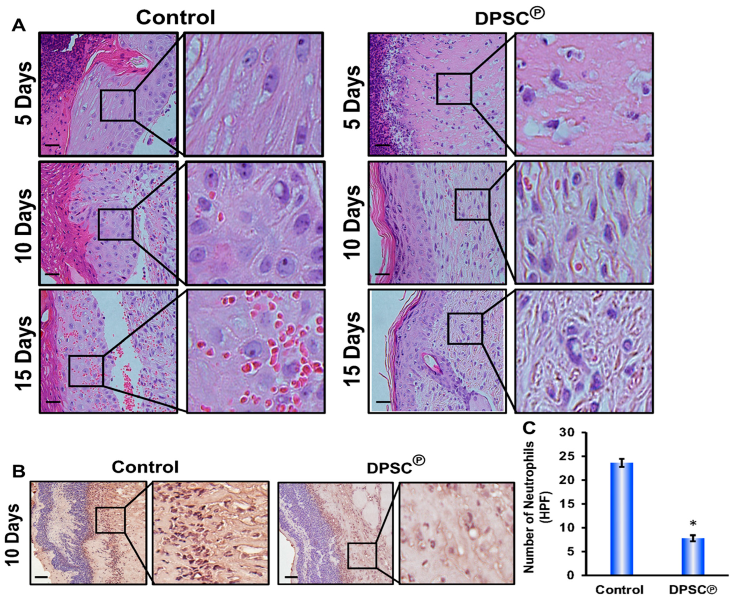Cells 11 02409 g002 550