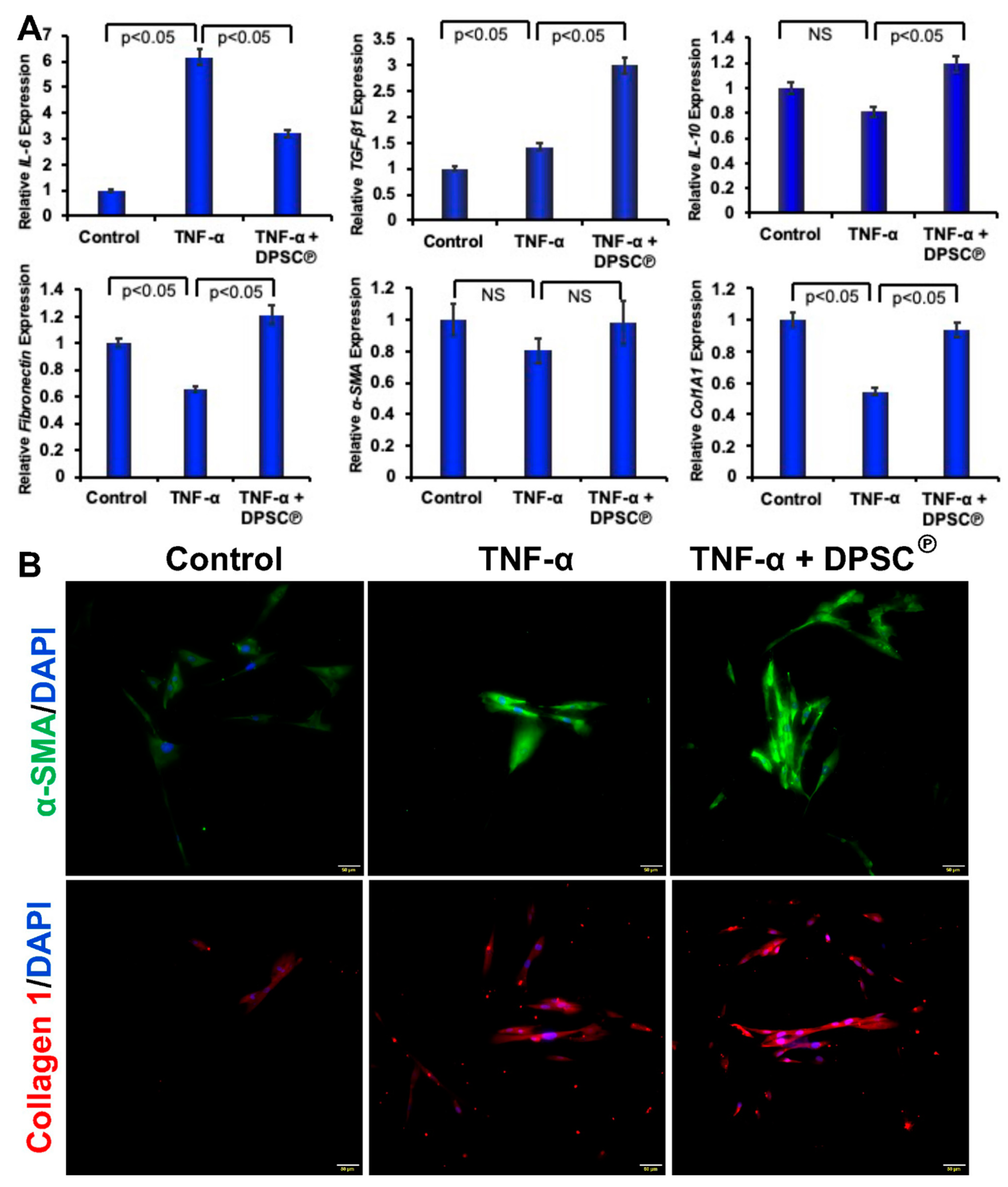 Cells 11 02409 g004 550