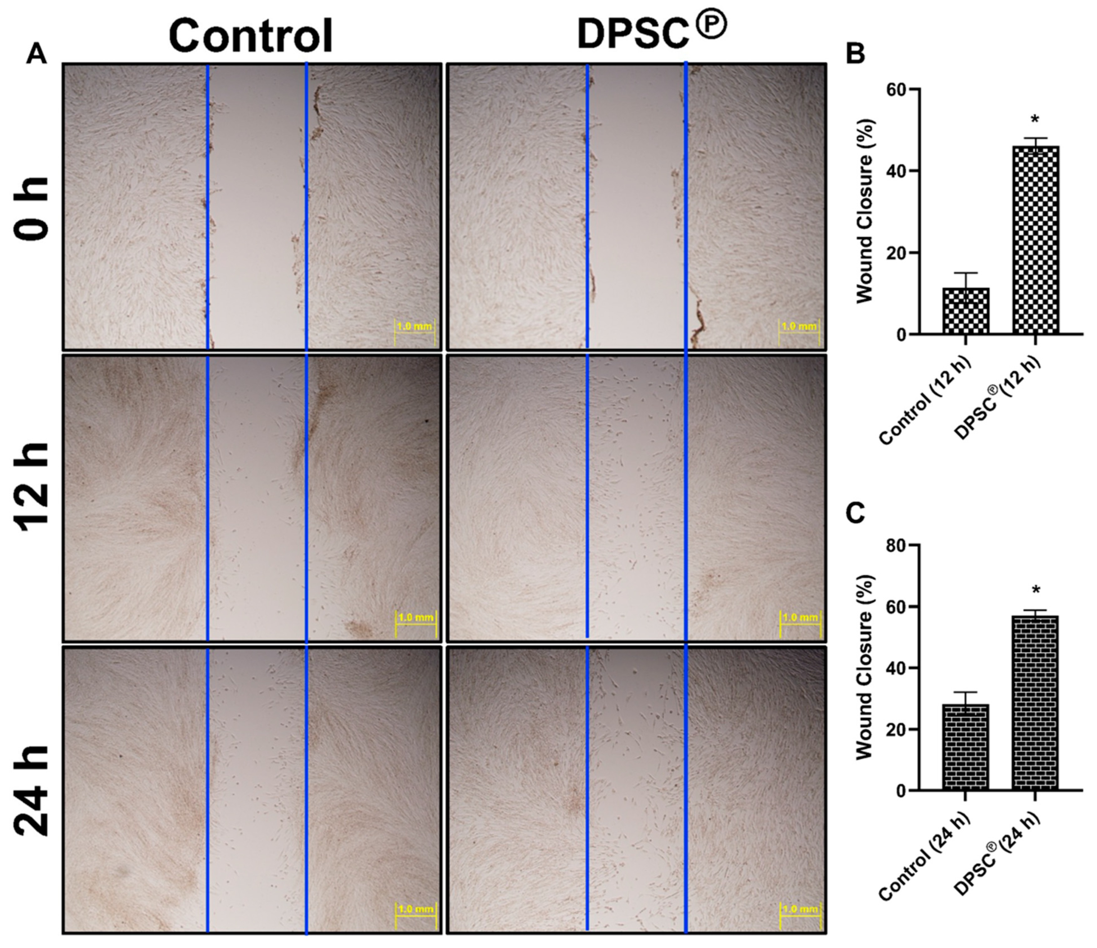 Cells 11 02409 g005 550