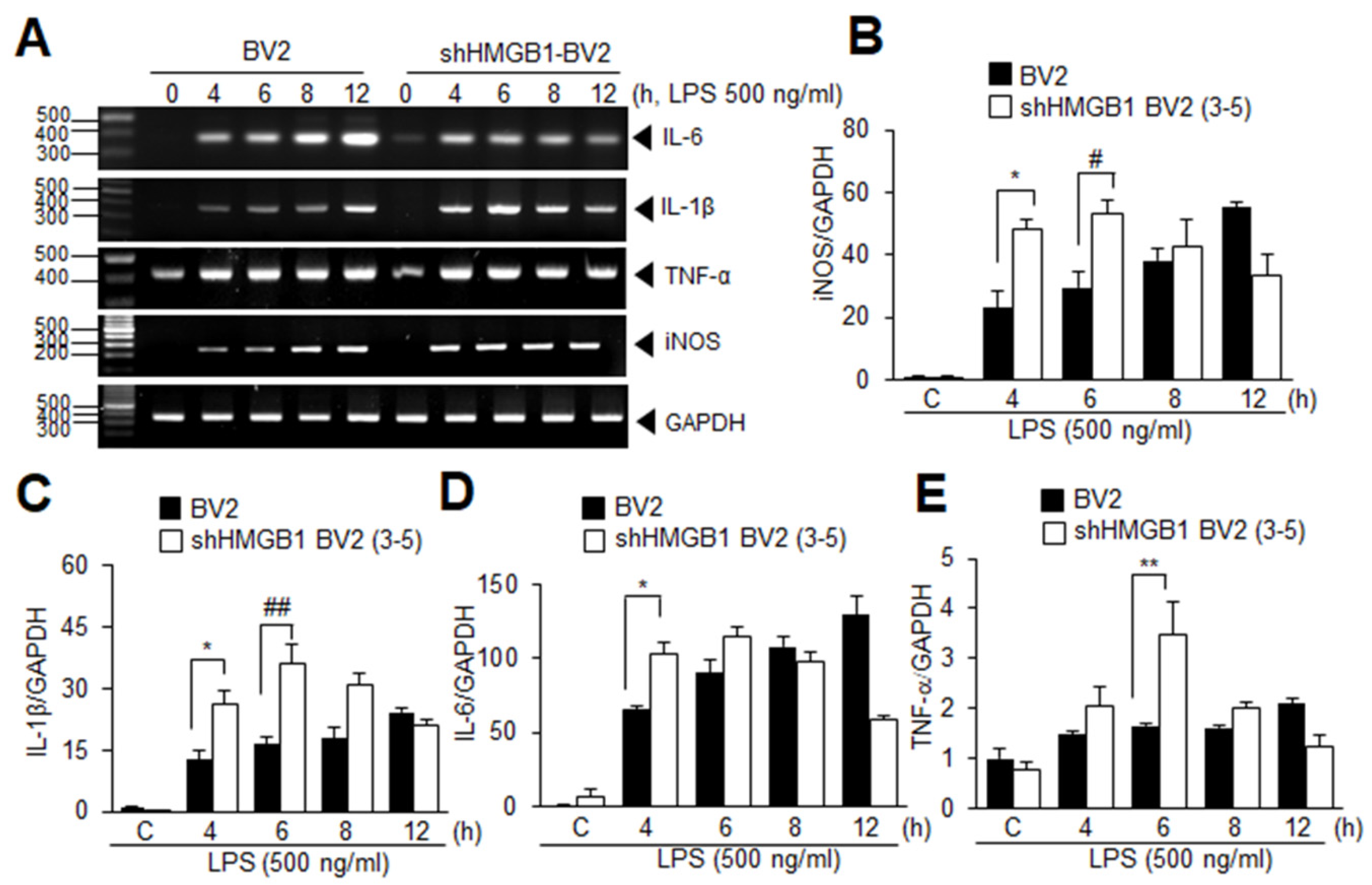 Cells 11 02410 g005 550