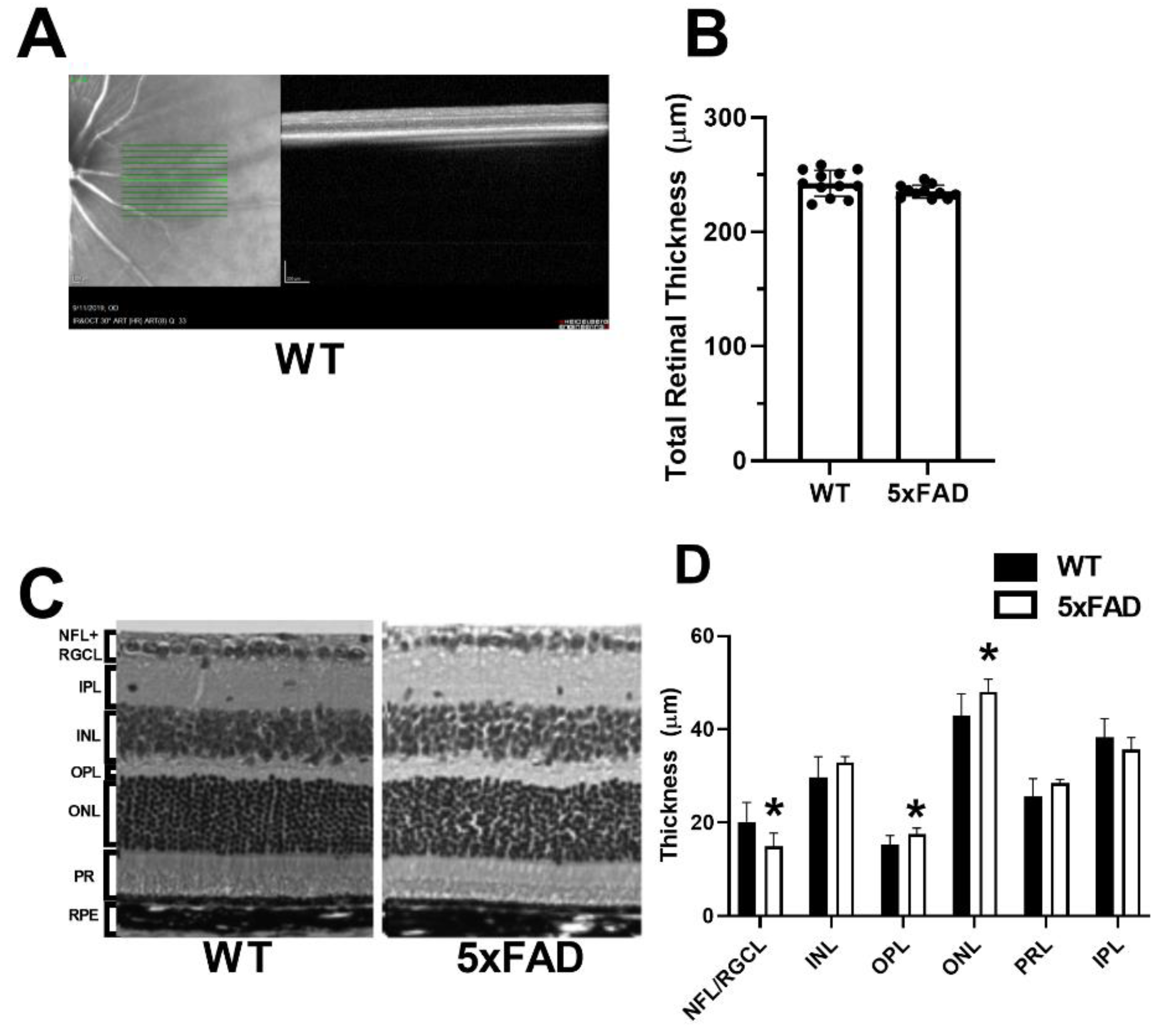 Cells 11 02413 g004 550