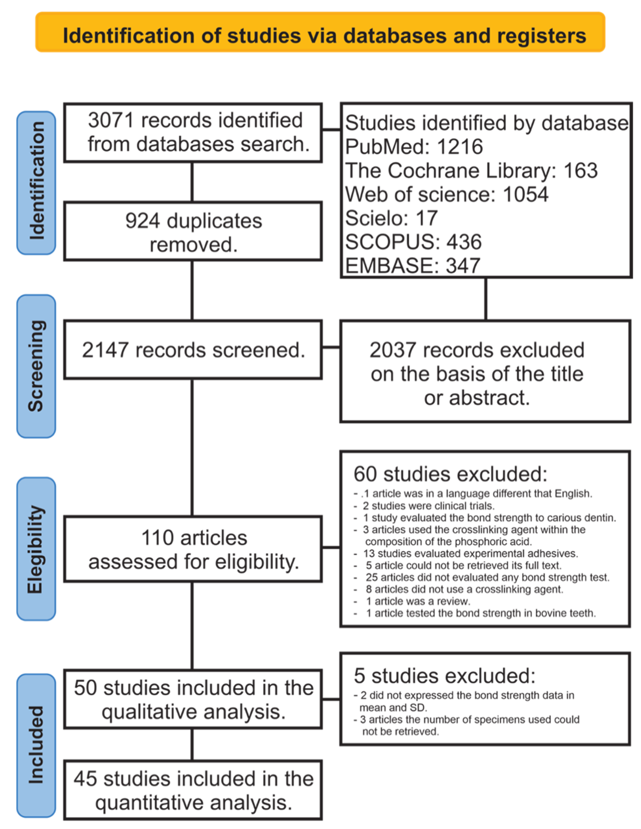 Cells 11 02417 g001 Cells 11 02417 g001