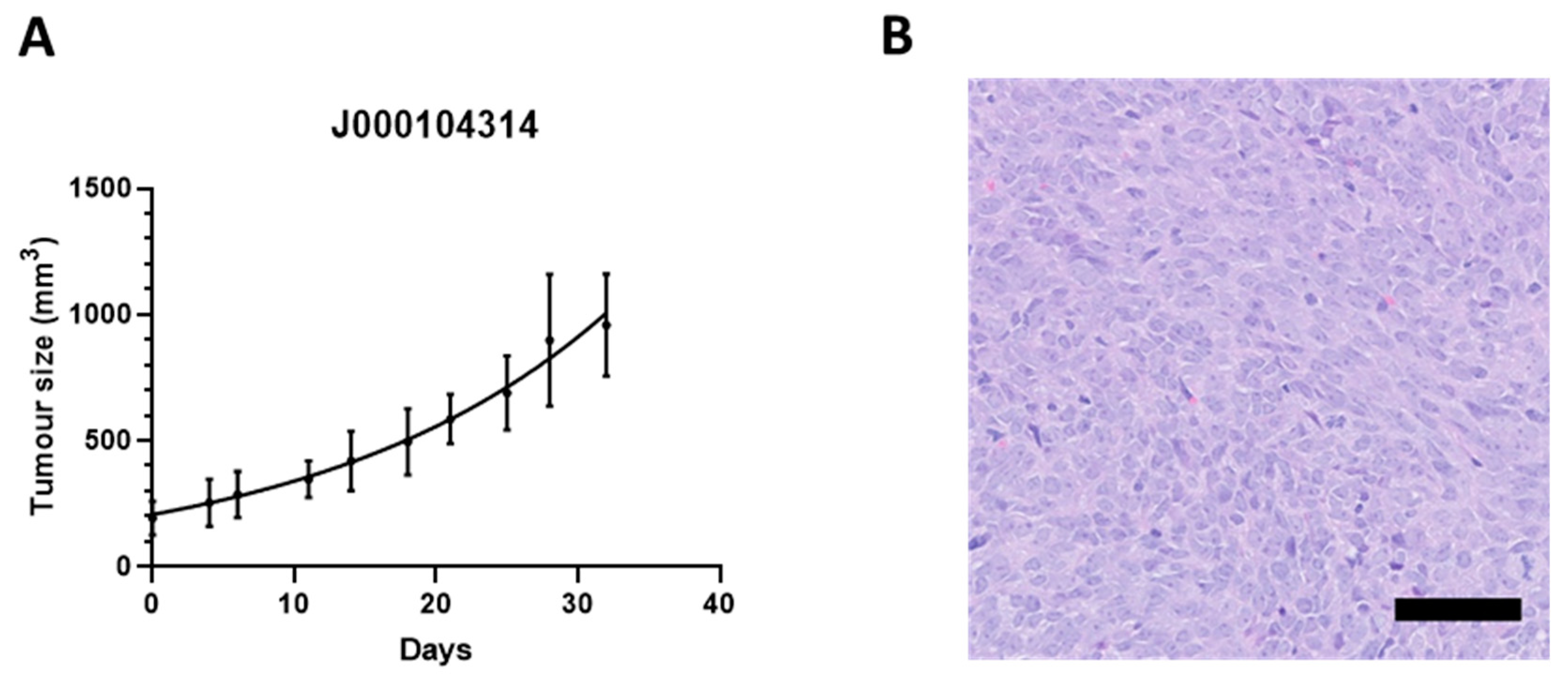 Cells 11 02418 g001 550