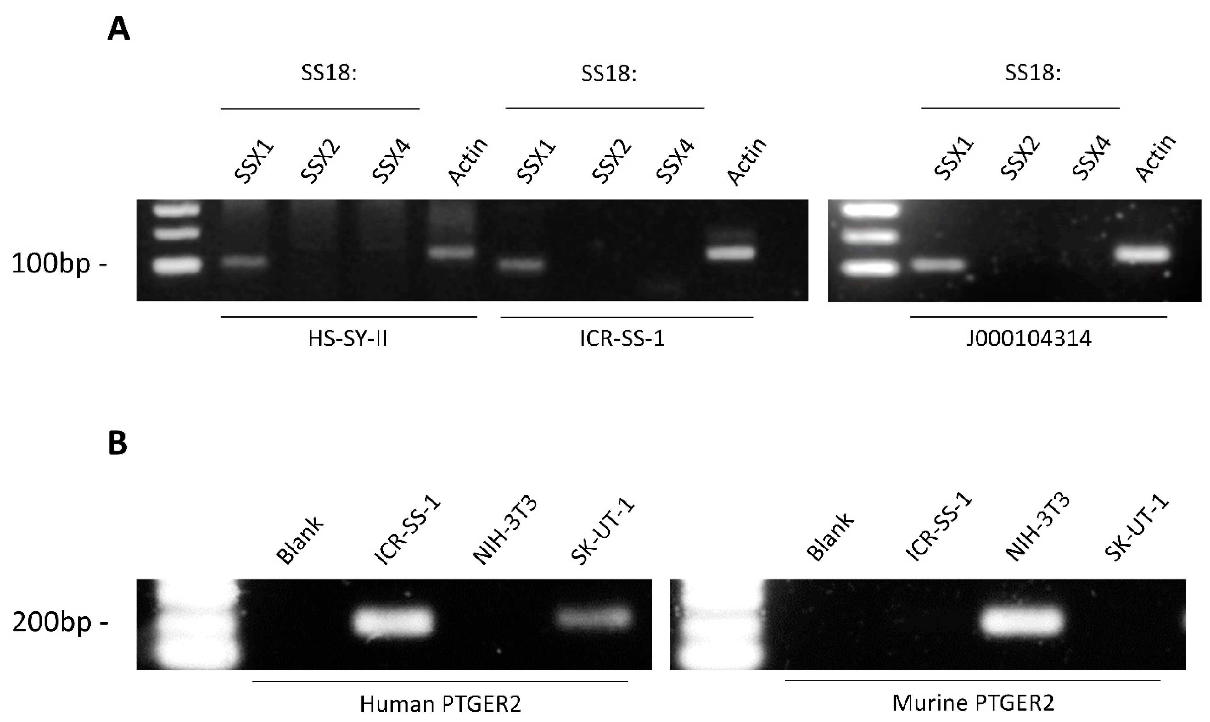 Cells 11 02418 g002 550