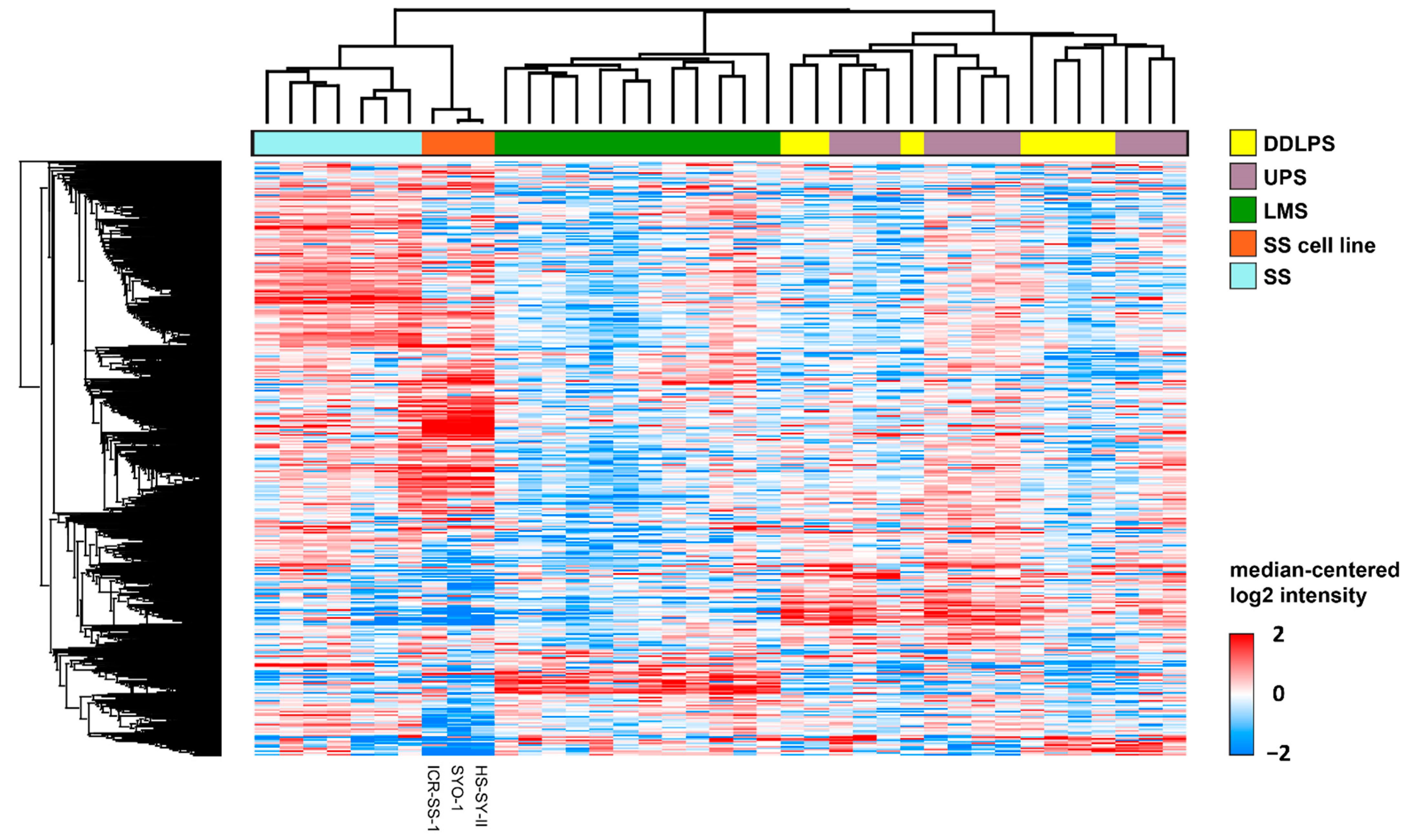 Cells 11 02418 g004 550
