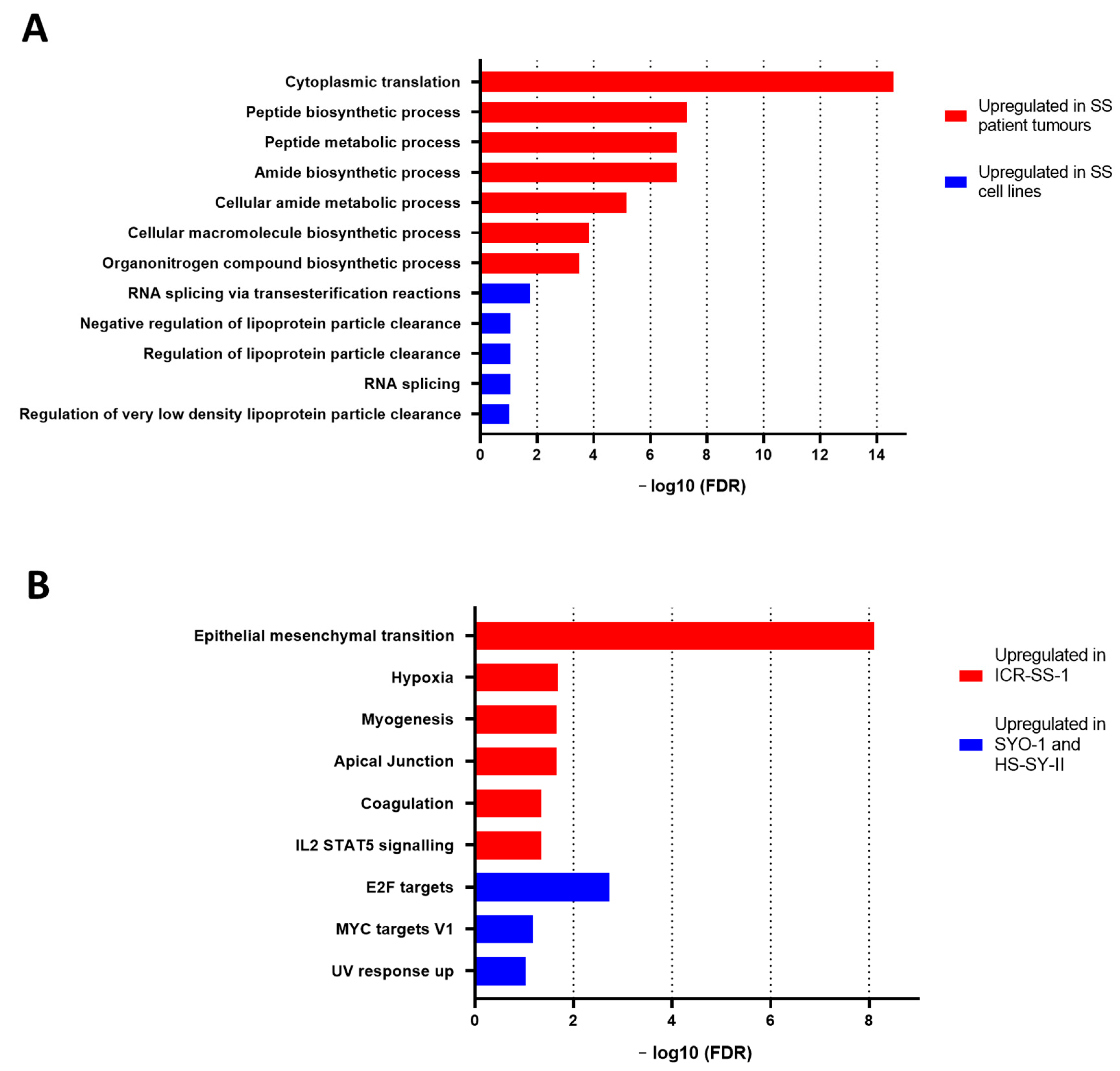 Cells 11 02418 g005 550