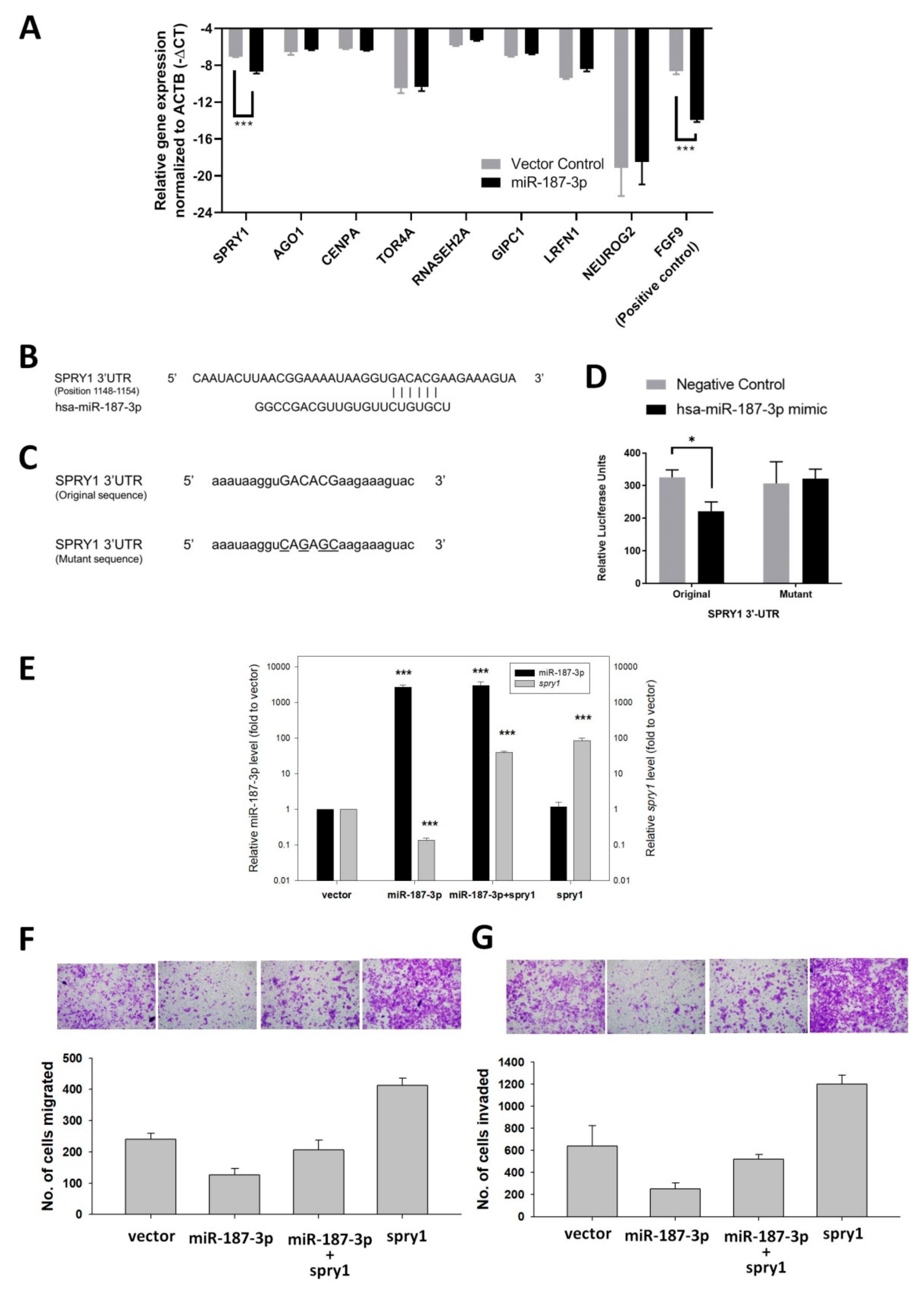 Cells 11 02421 g009 550