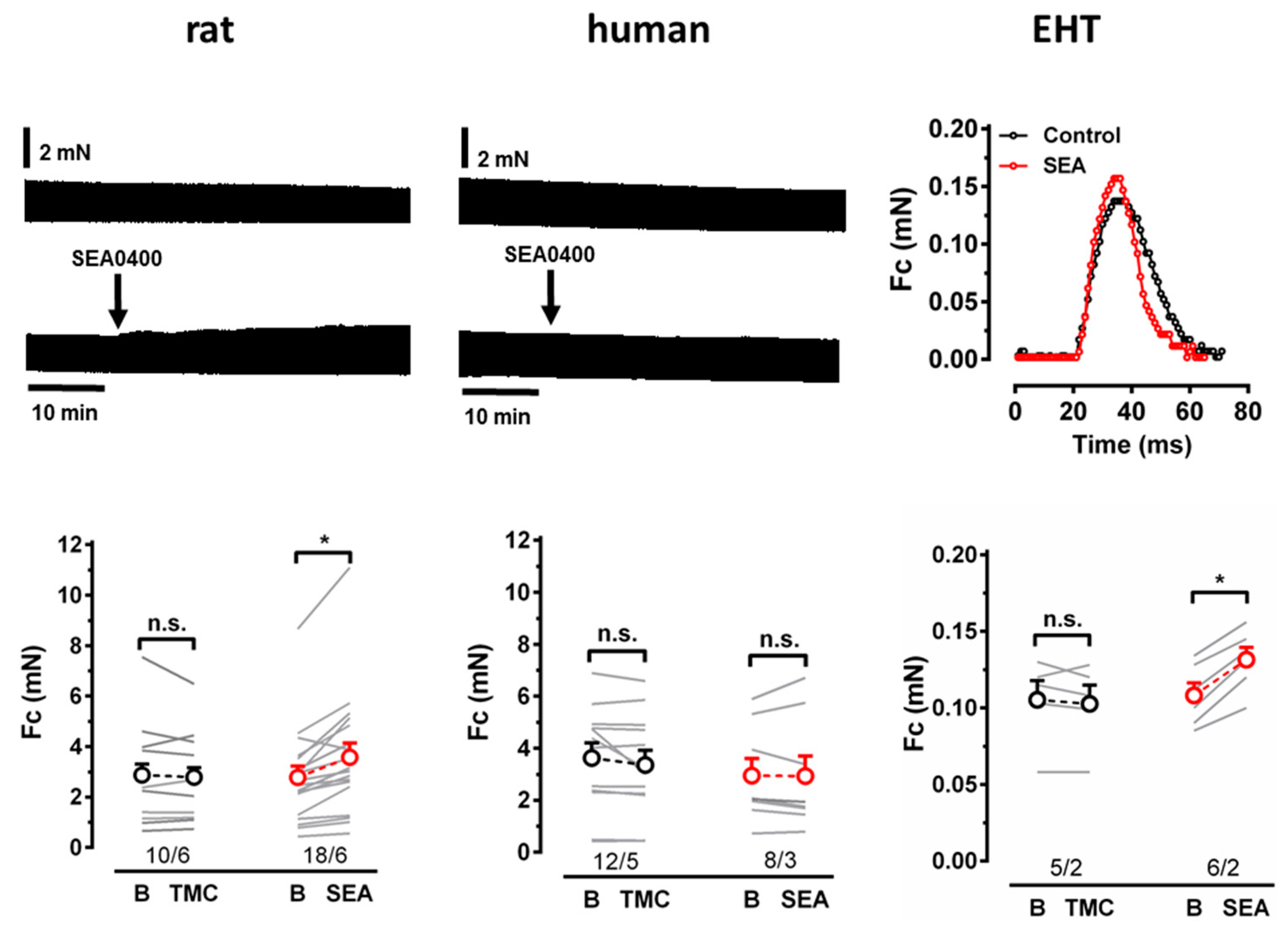 Cells 11 02424 g003 550