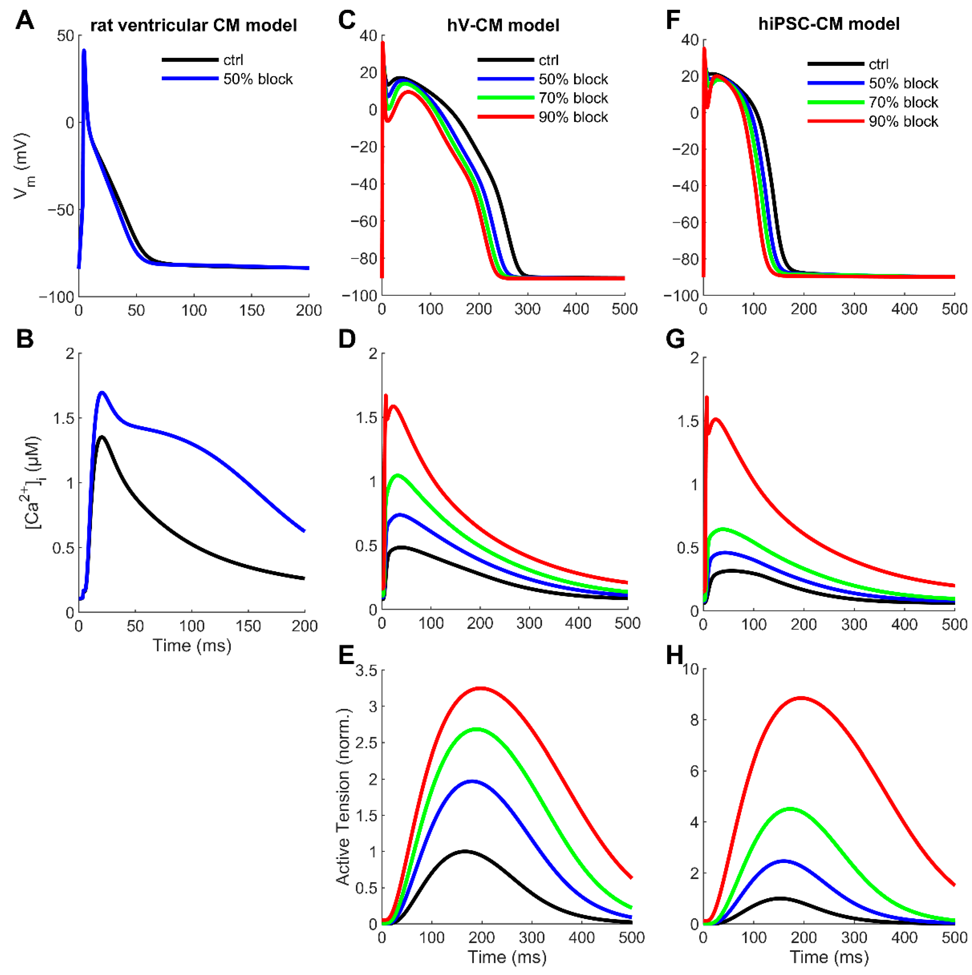 Cells 11 02424 g004 550