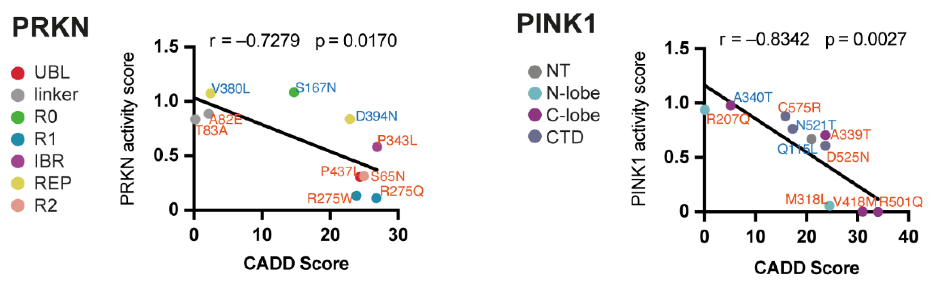Cells 11 02426 g005 Cells 11 02426 g005