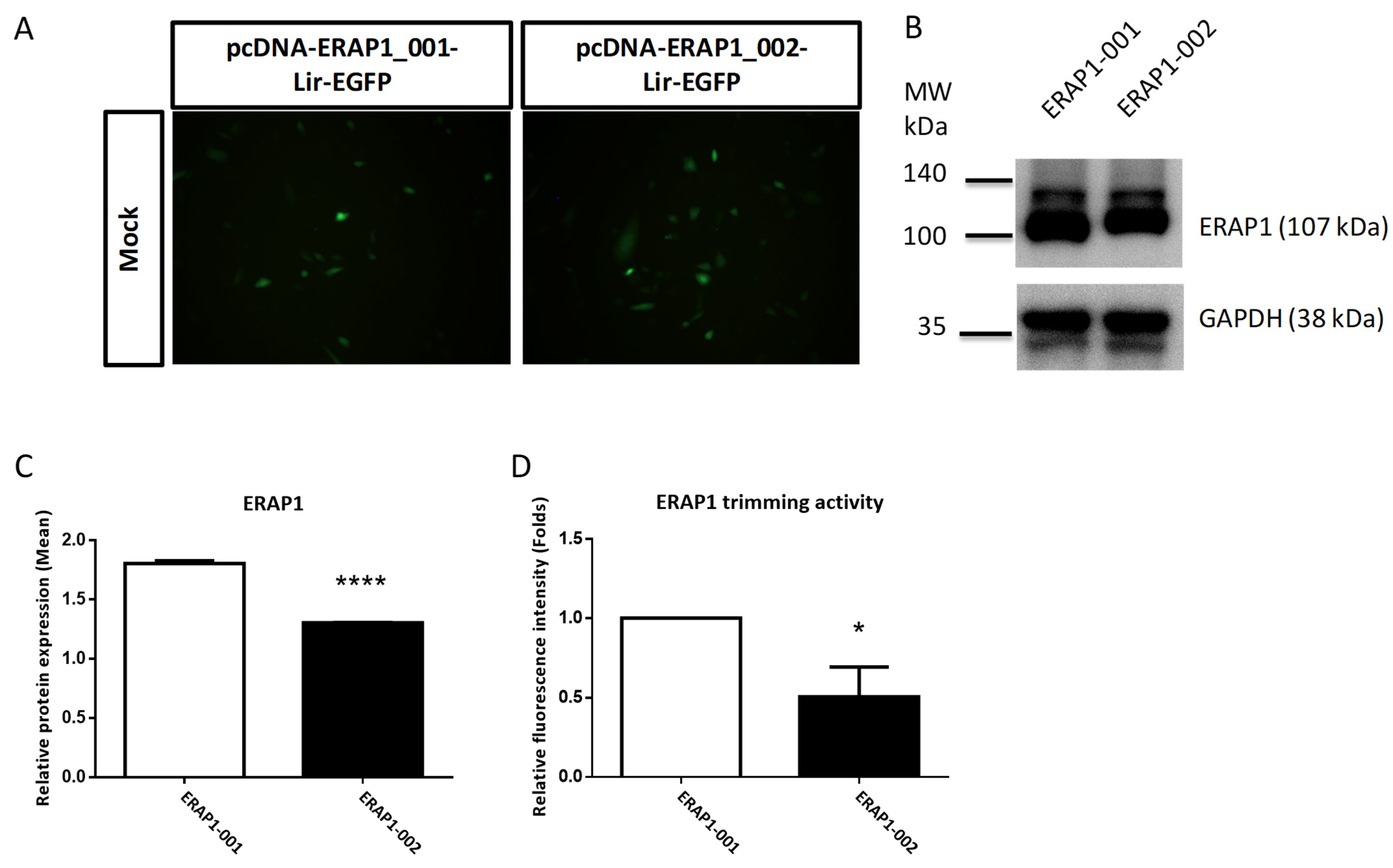 Cells 11 02427 g002 550