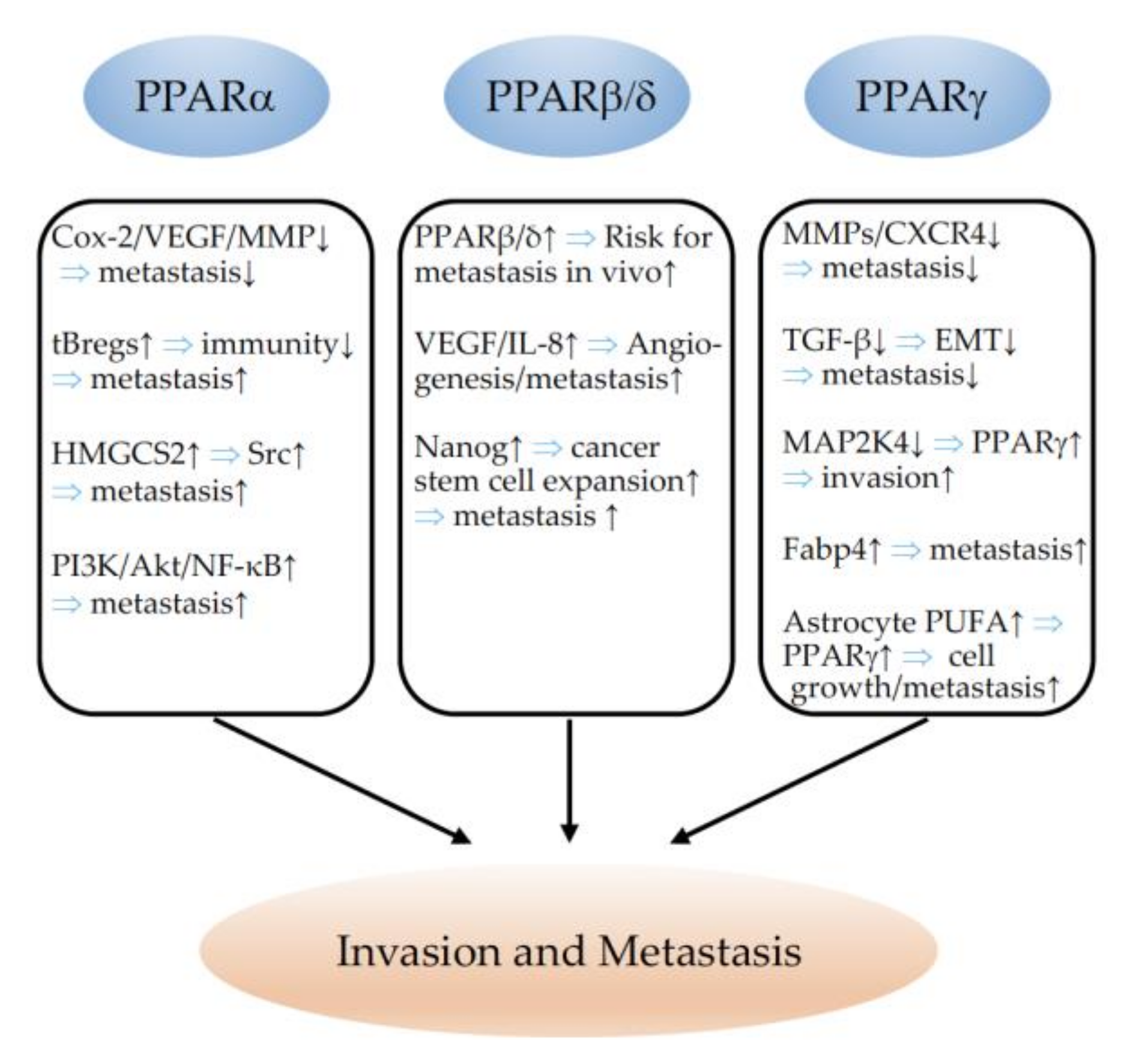 Cells 11 02432 g005 Cells 11 02432 g005