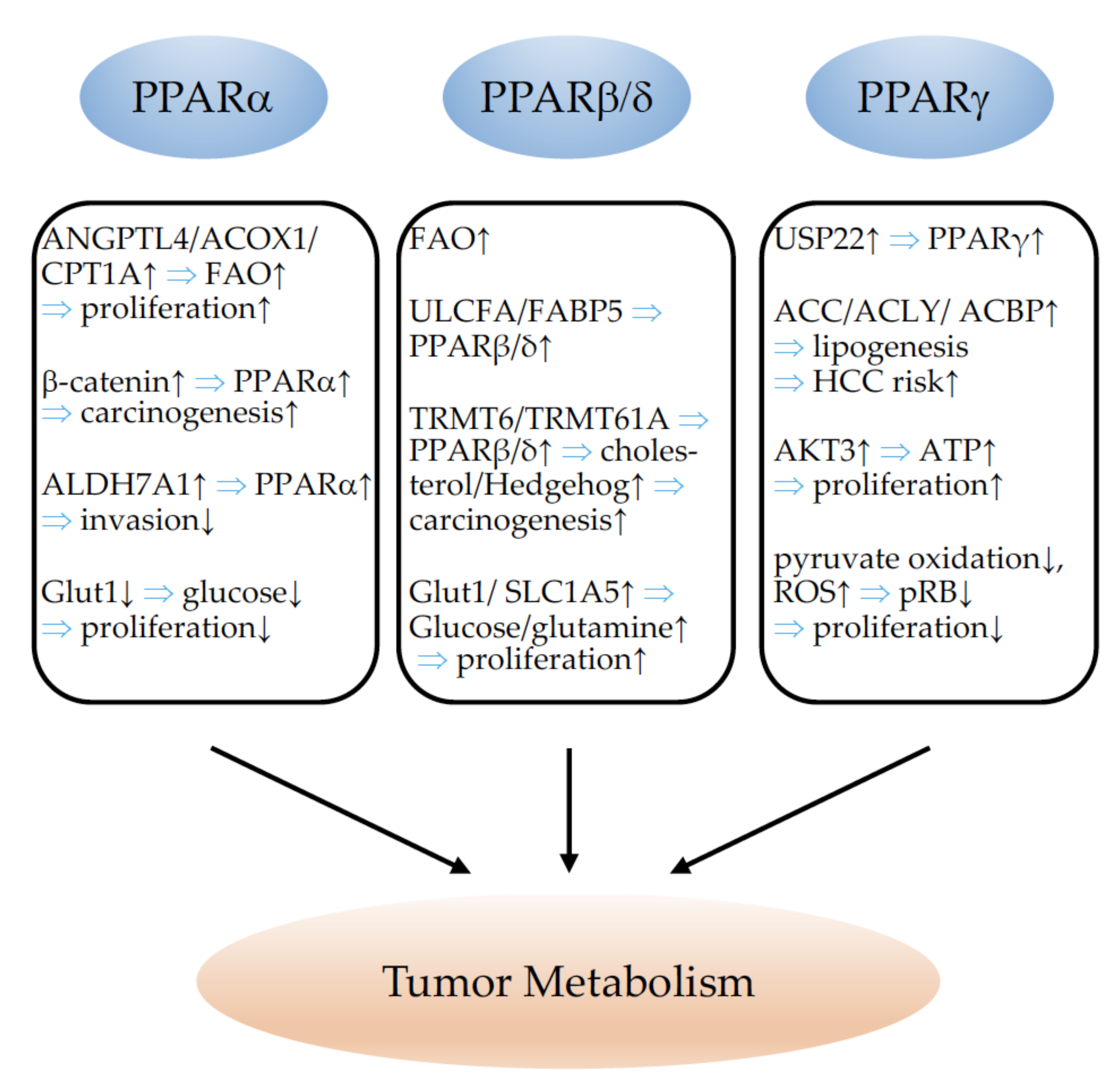 Cells 11 02432 g007 Cells 11 02432 g007