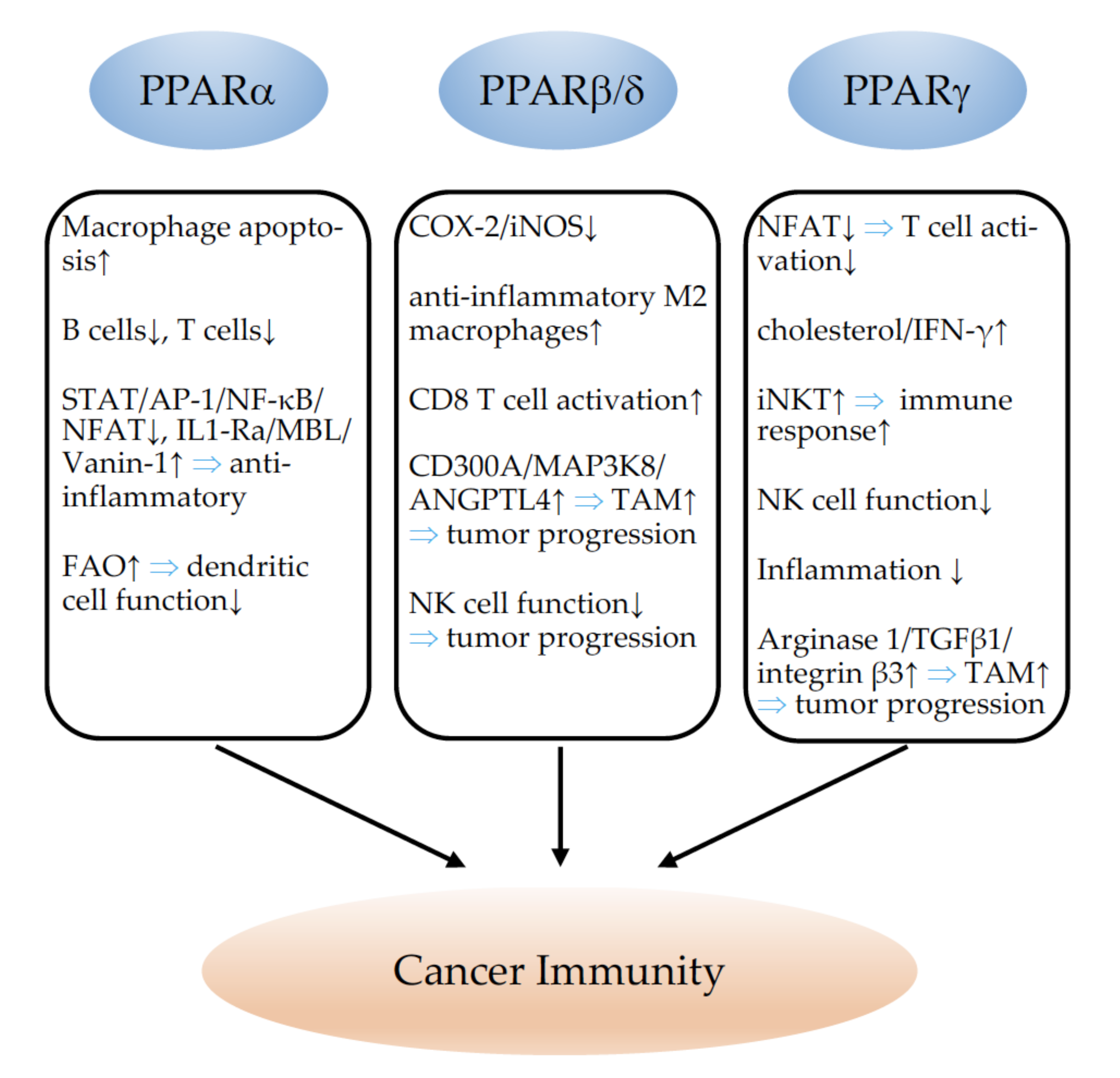 Cells 11 02432 g008 Cells 11 02432 g008