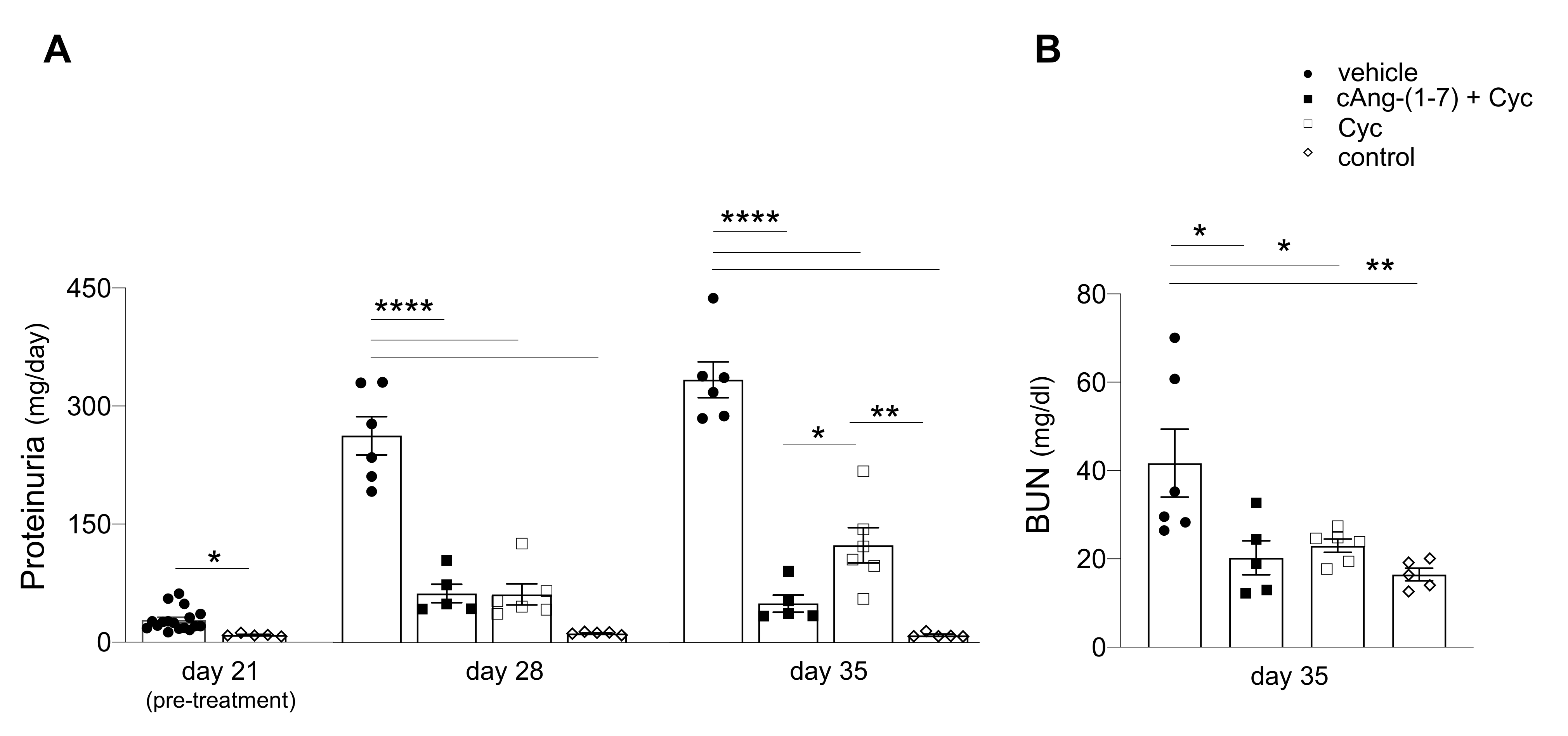 Cells 11 02434 g001 Cells 11 02434 g001