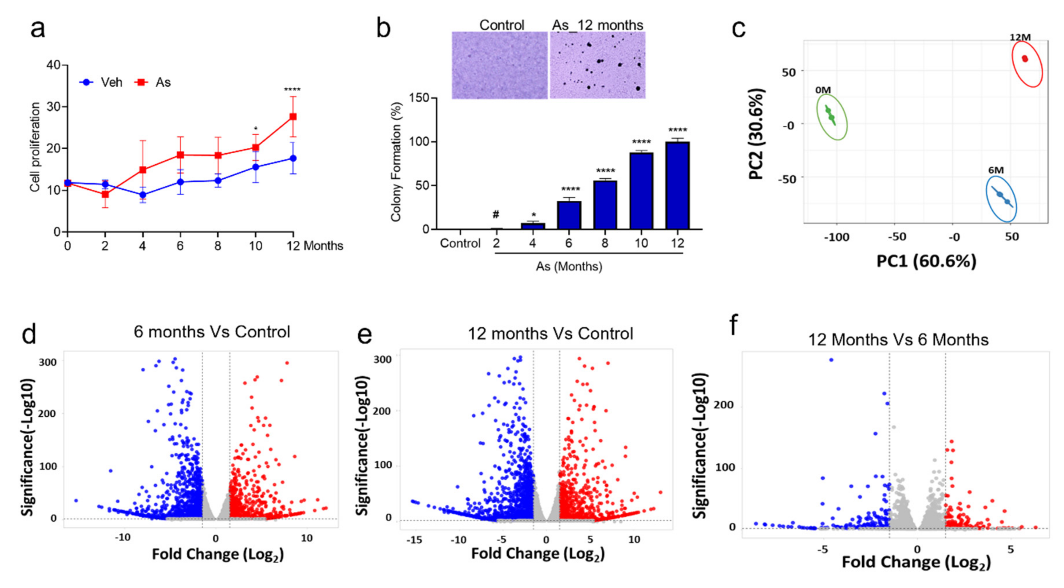 Cells 11 02435 g001 Cells 11 02435 g001