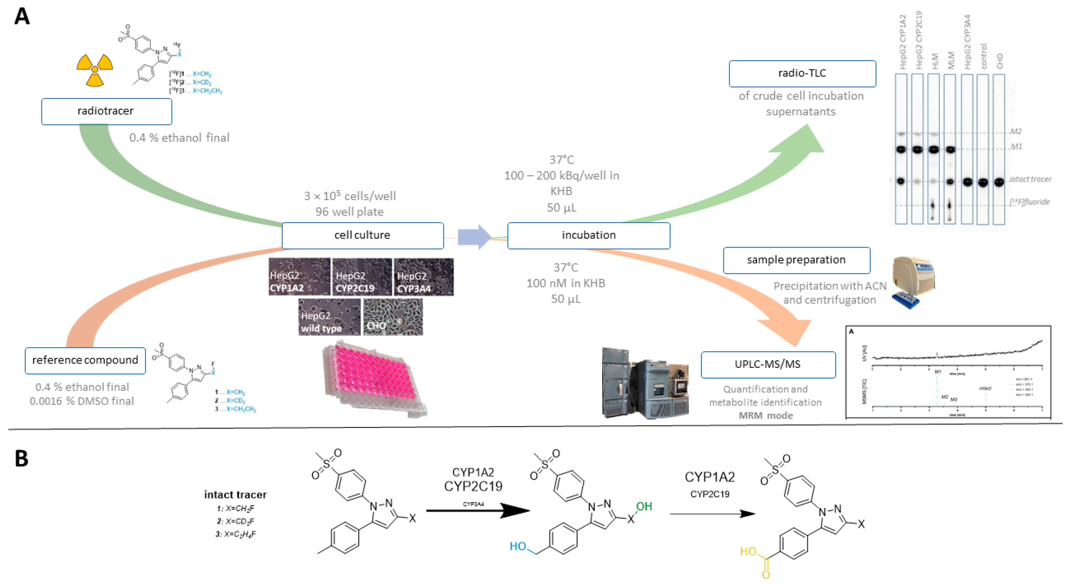 Cells 11 02447 g001 Cells 11 02447 g001