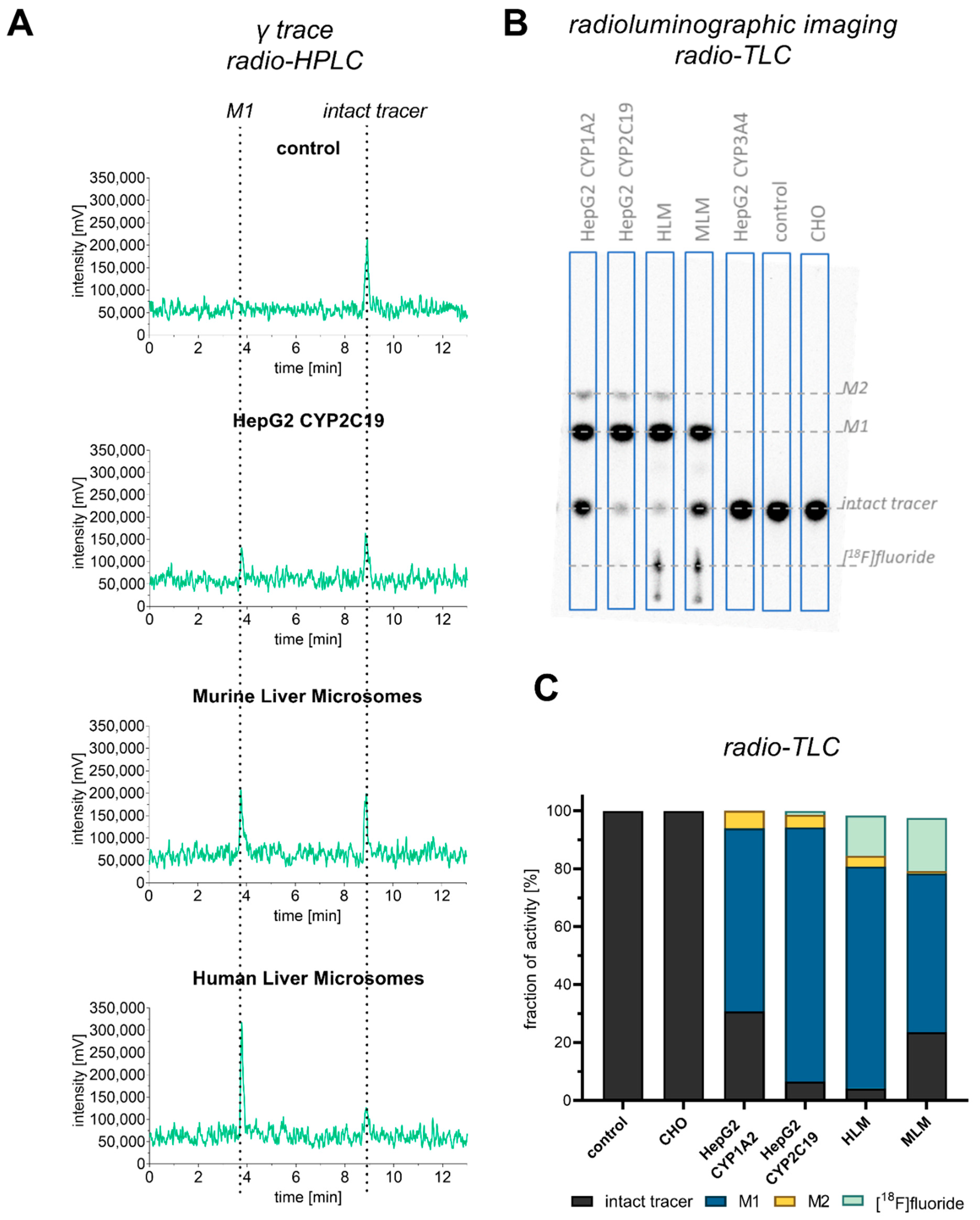 Cells 11 02447 g003 Cells 11 02447 g003