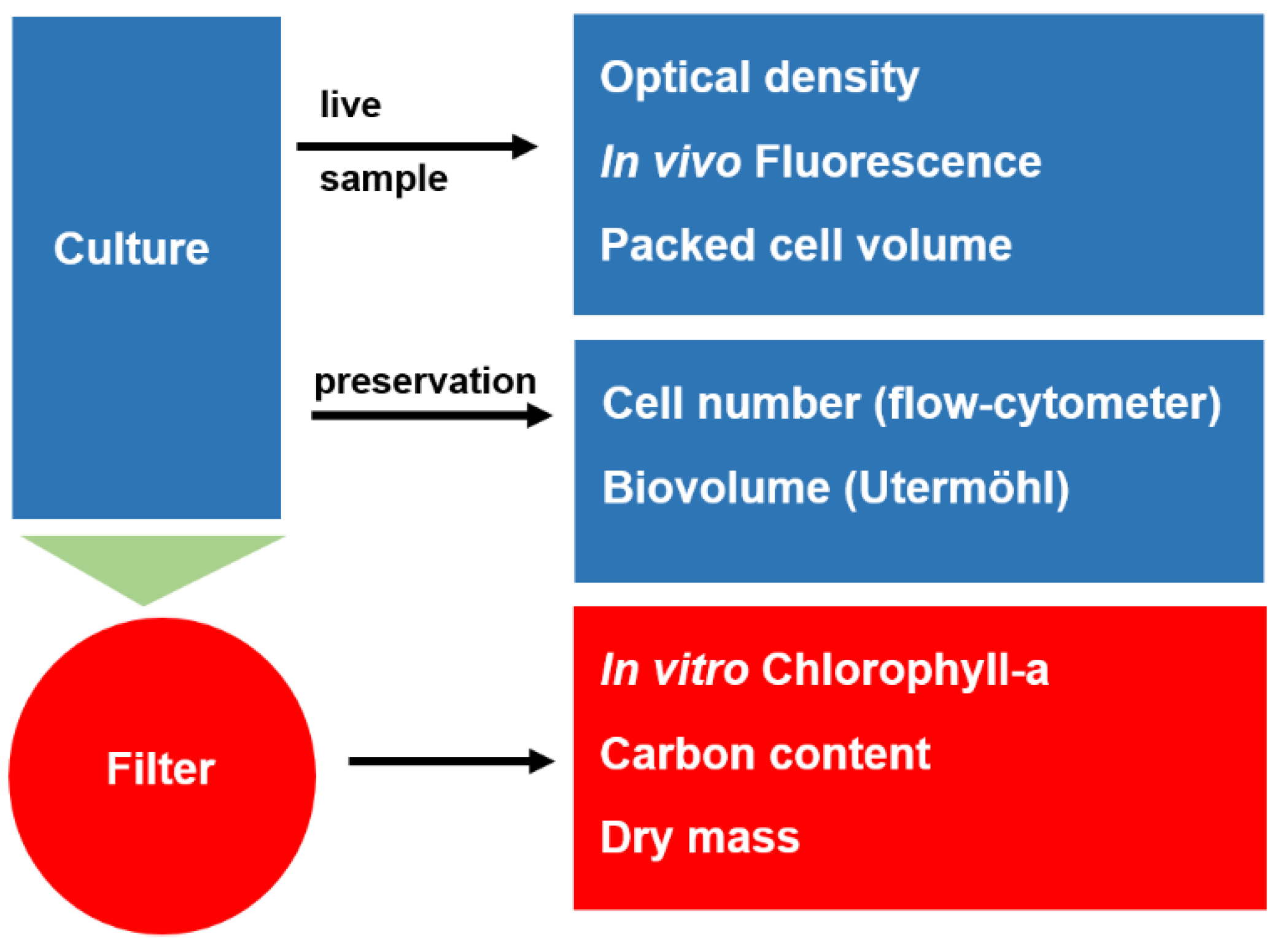 Cells 11 02455 g001 550