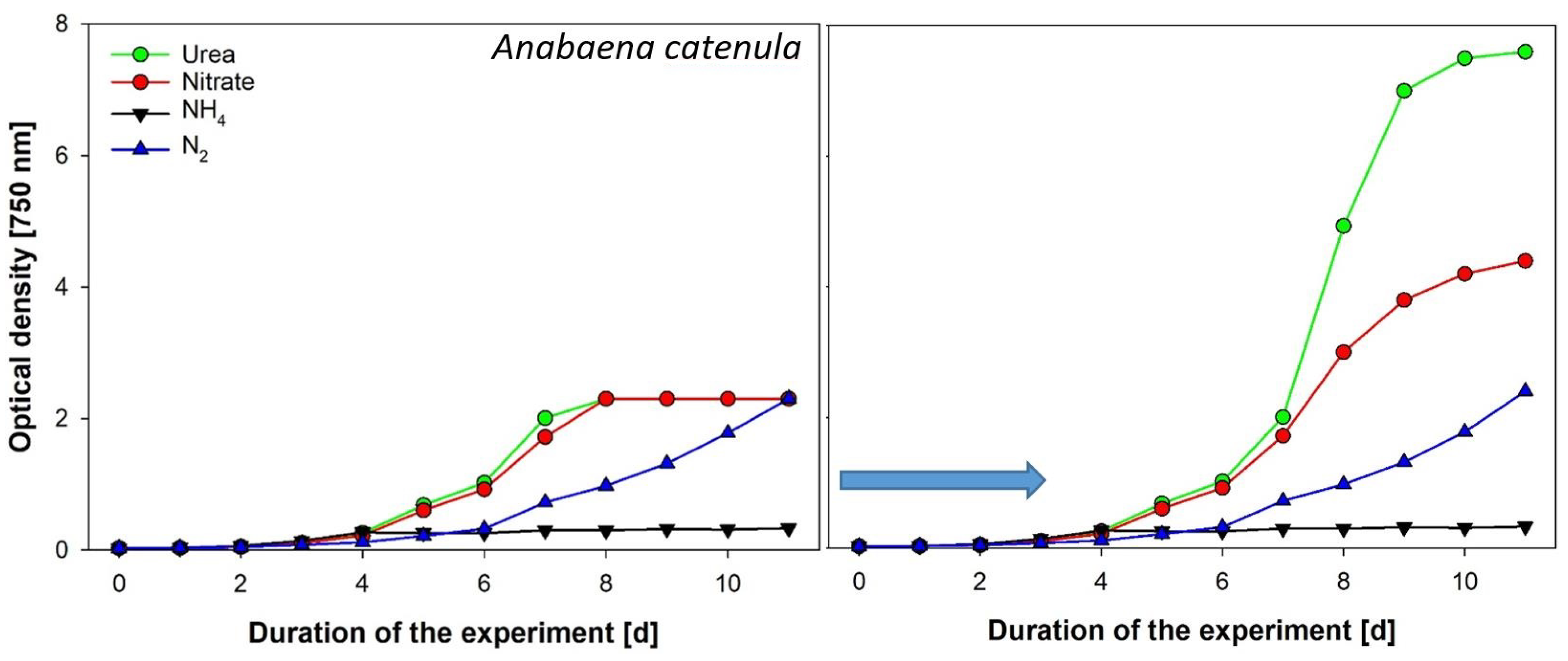 Cells 11 02455 g006 550