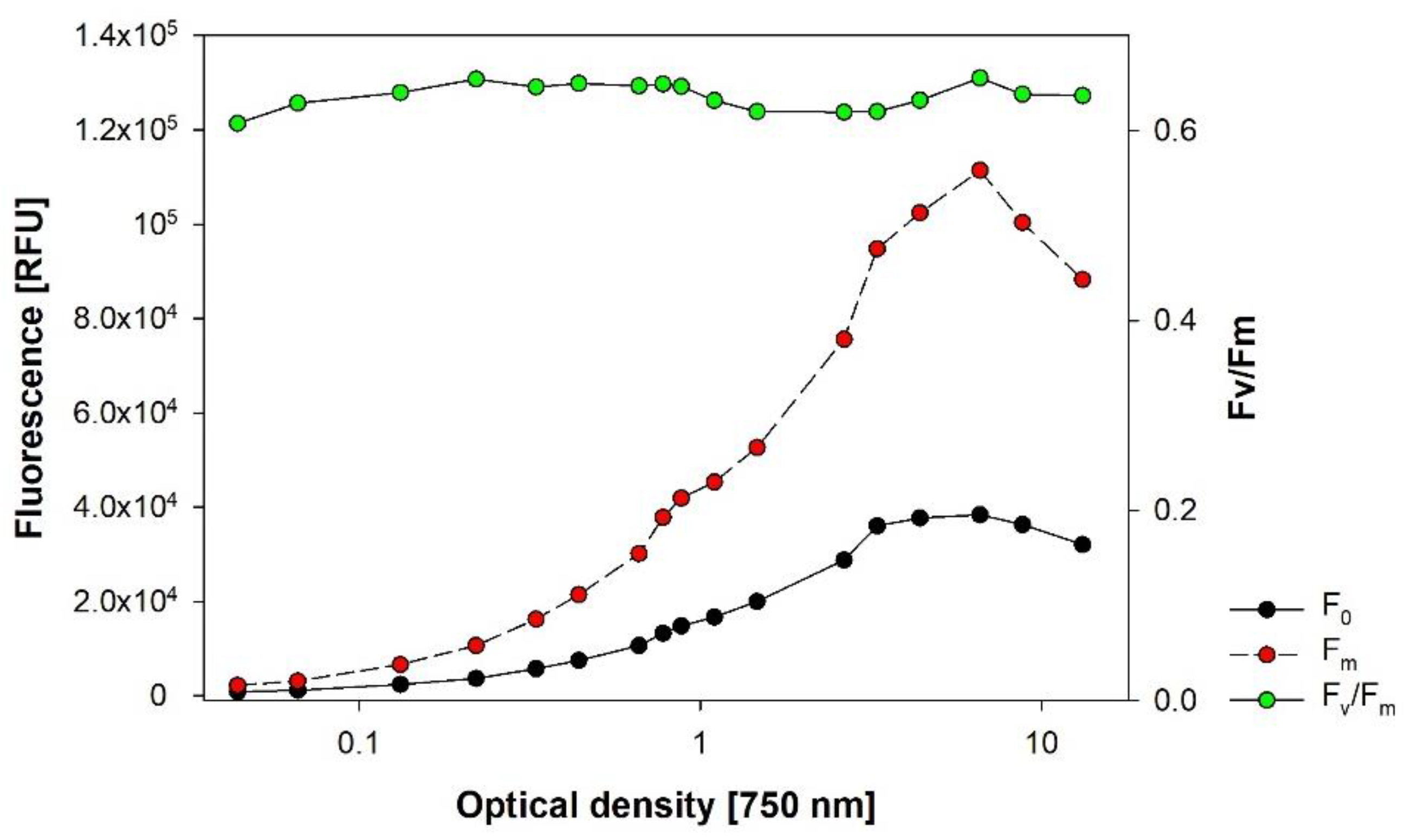 Cells 11 02455 g010 550