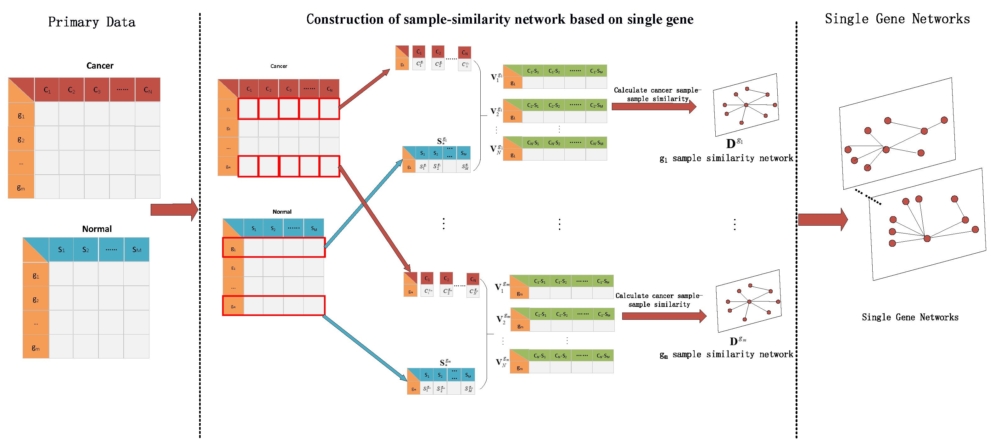 Cells | Free Full-Text | HSSG: Identification of Cancer Subtypes Based ...