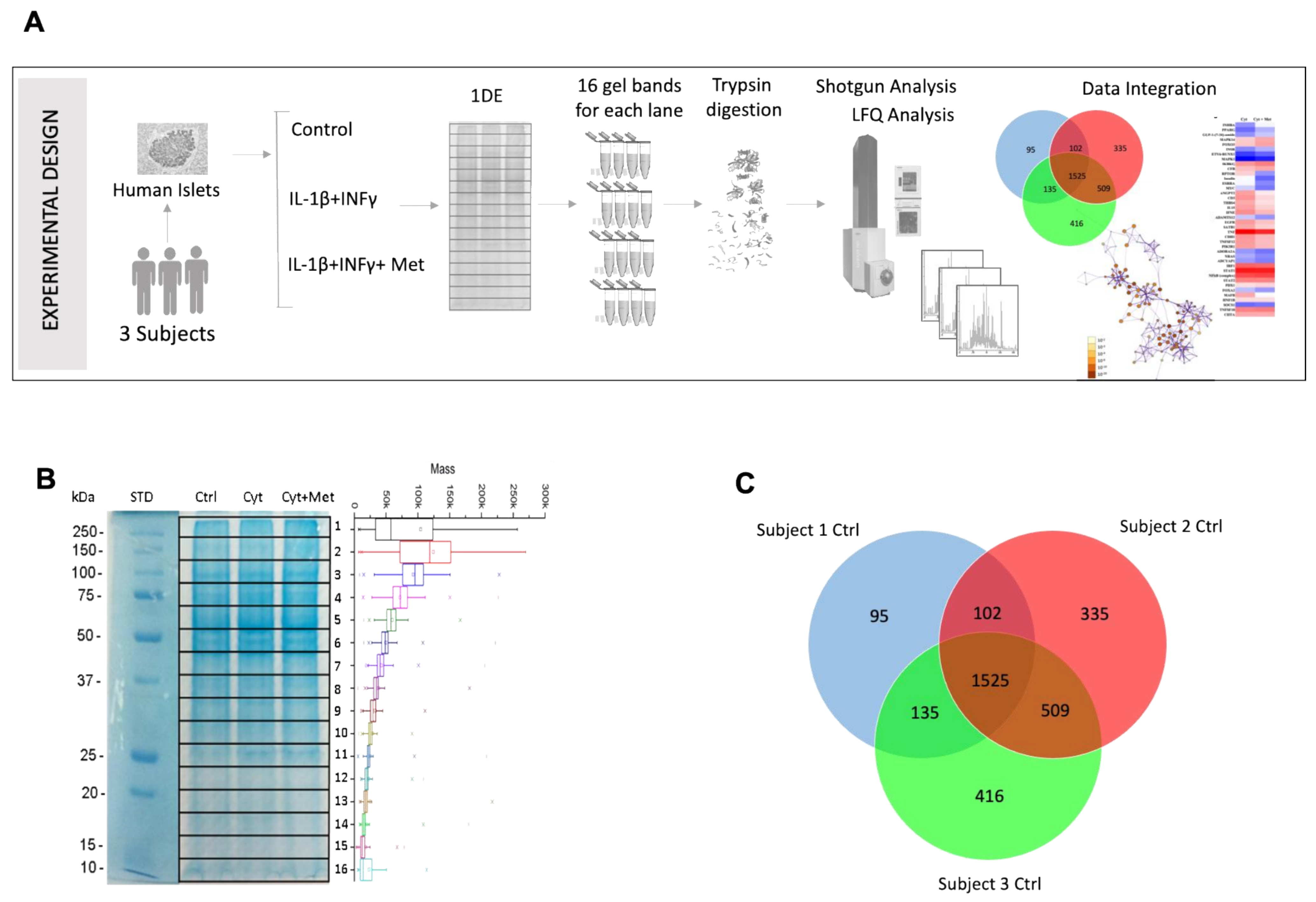 Cells 11 02465 g002 Cells 11 02465 g002
