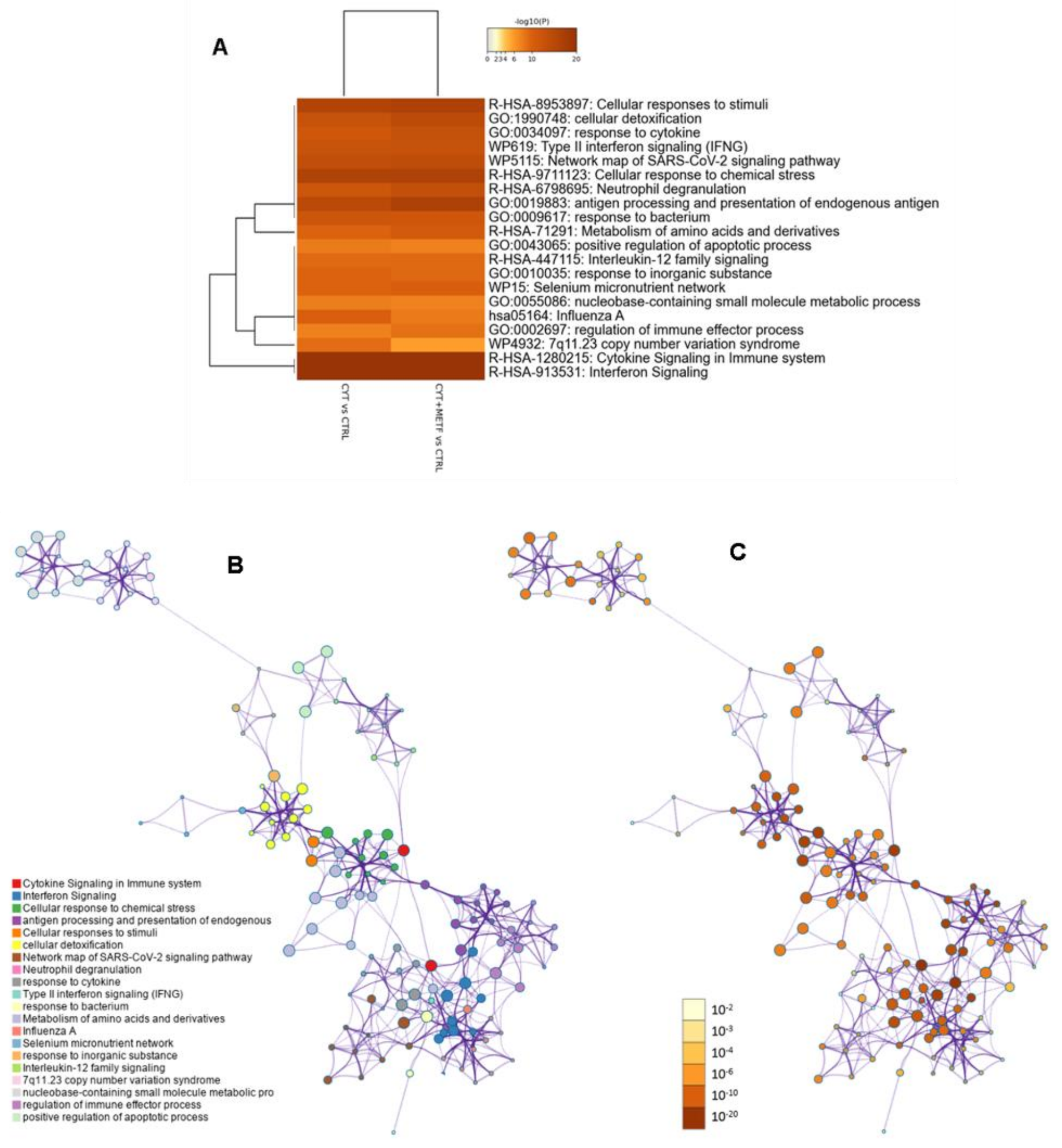 Cells 11 02465 g004 Cells 11 02465 g004