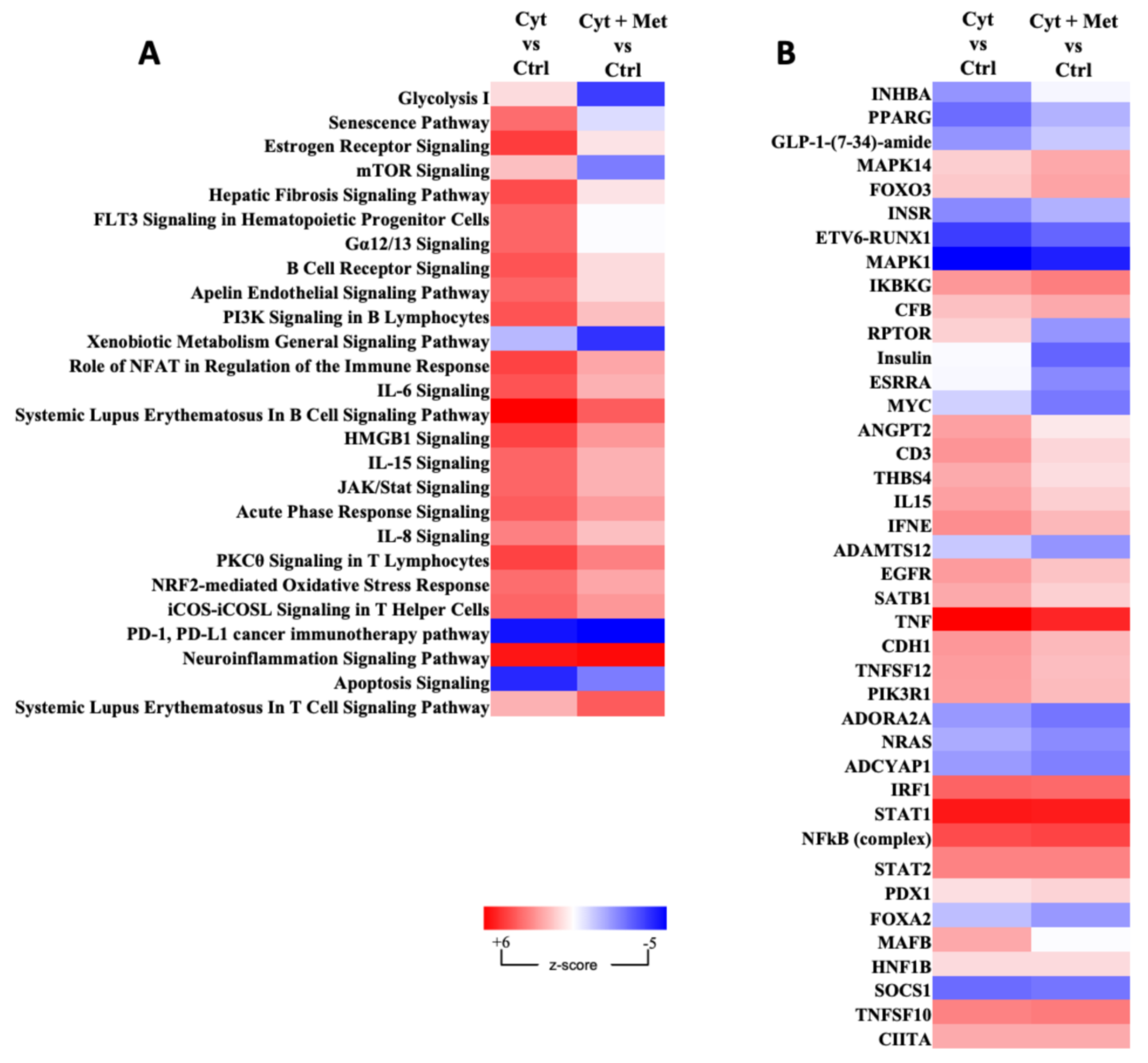 Cells 11 02465 g005 Cells 11 02465 g005