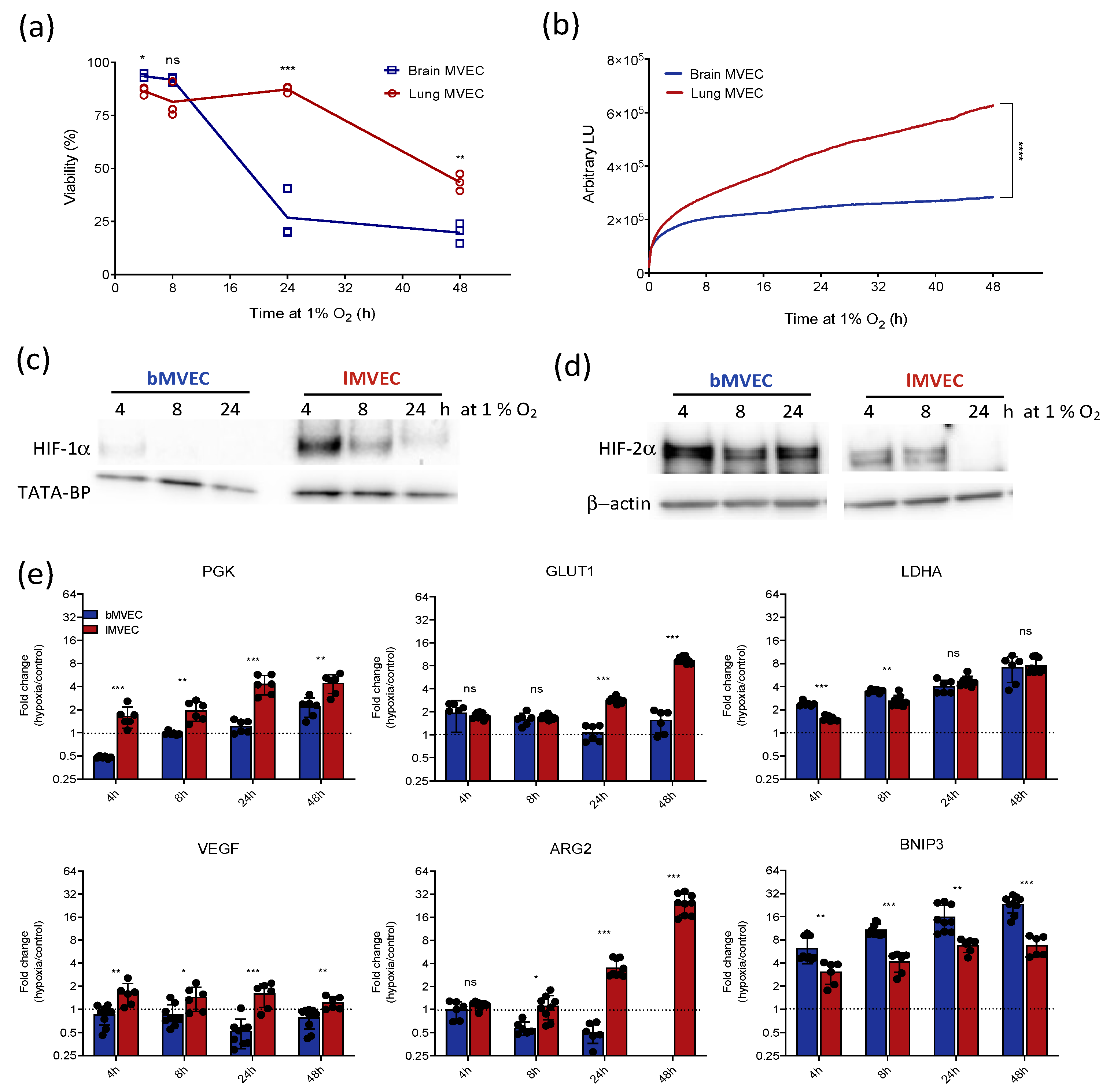 Cells 11 02469 g001 550