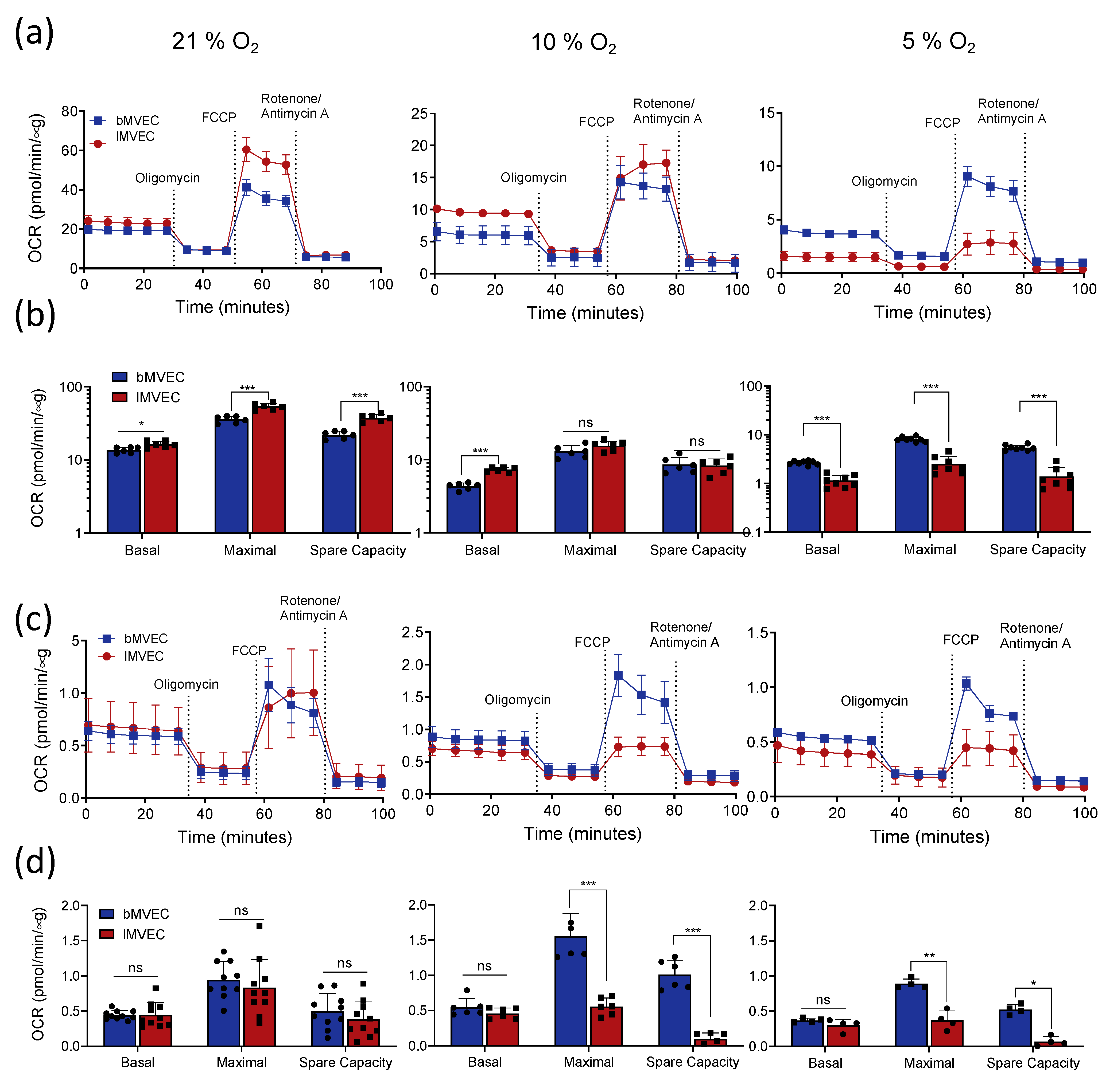 Cells 11 02469 g005 550